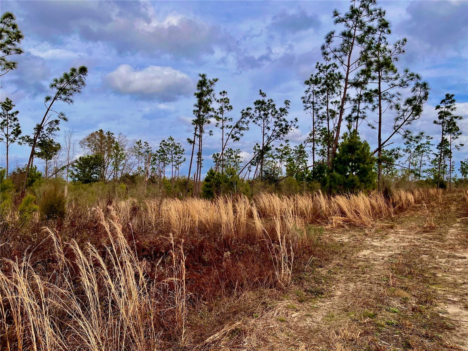 1 BETHLEHEM RD, COTTONDALE, FL, 32431