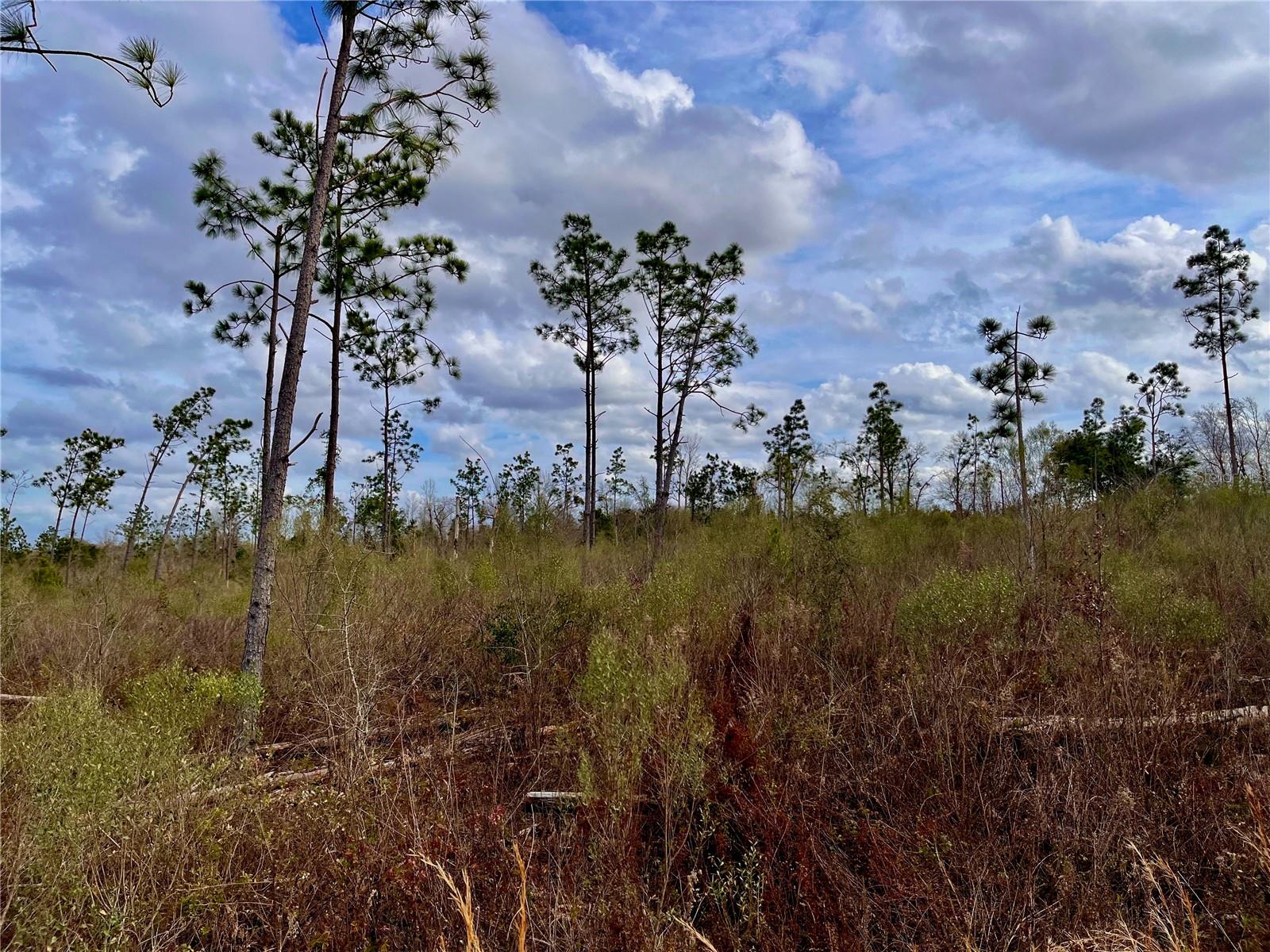 1 BETHLEHEM RD, COTTONDALE, FL, 32431