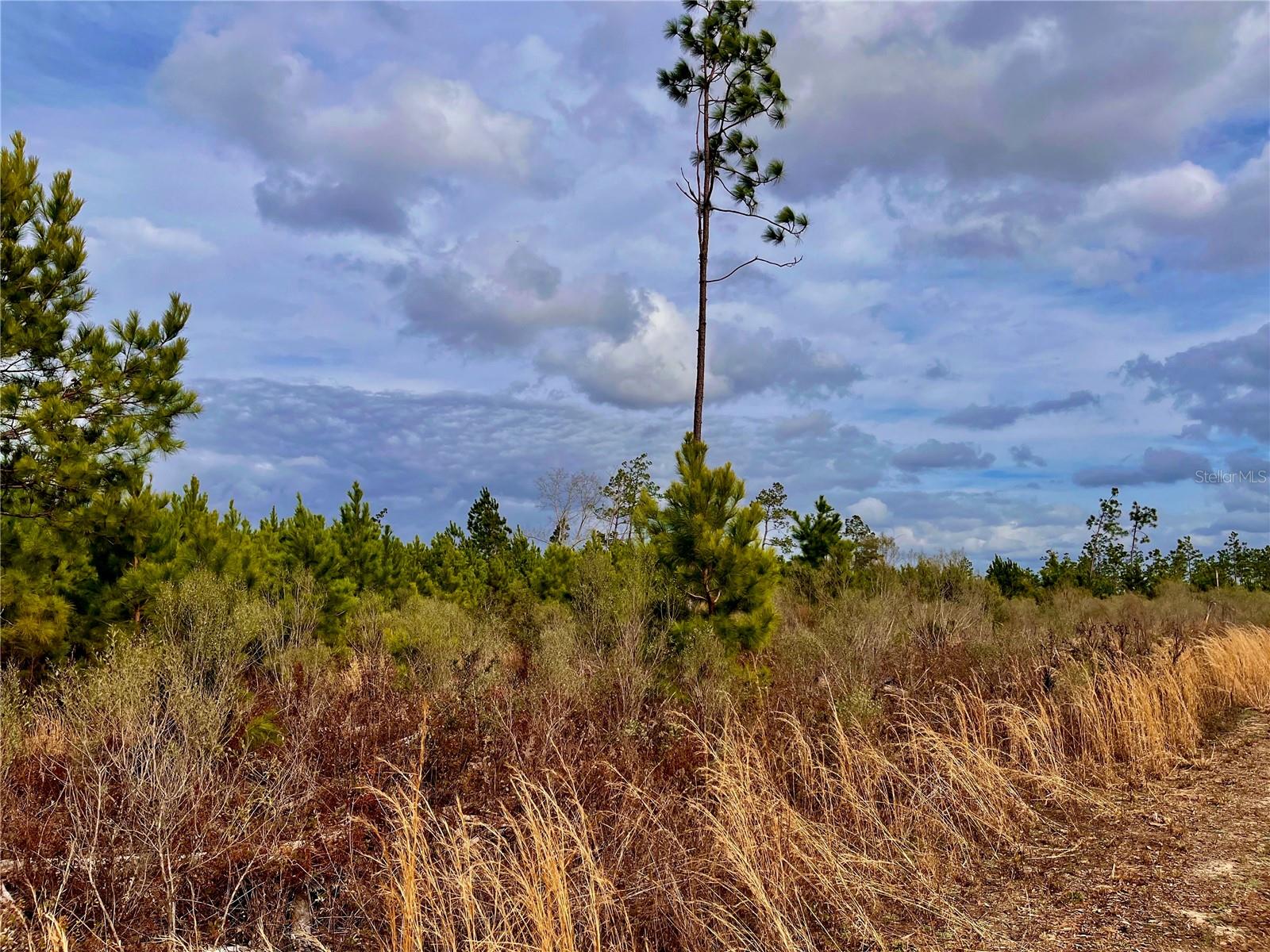 1 BETHLEHEM RD, COTTONDALE, FL, 32431