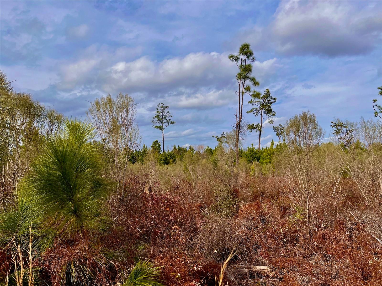 1 BETHLEHEM RD, COTTONDALE, FL, 32431