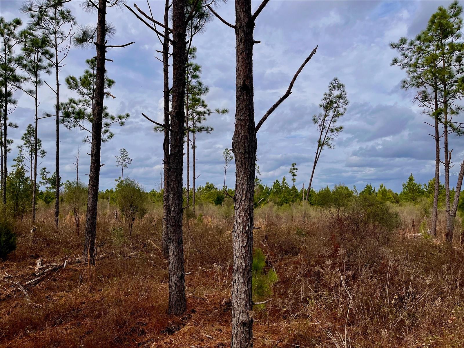 1 BETHLEHEM RD, COTTONDALE, FL, 32431