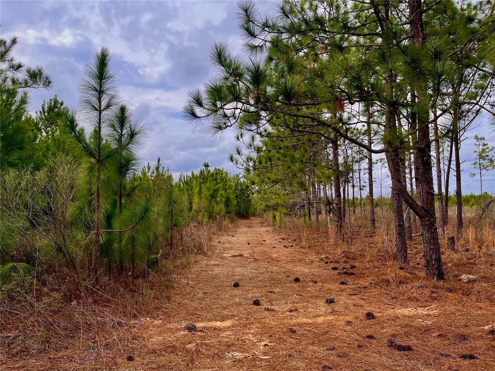 1 BETHLEHEM RD, COTTONDALE, FL, 32431