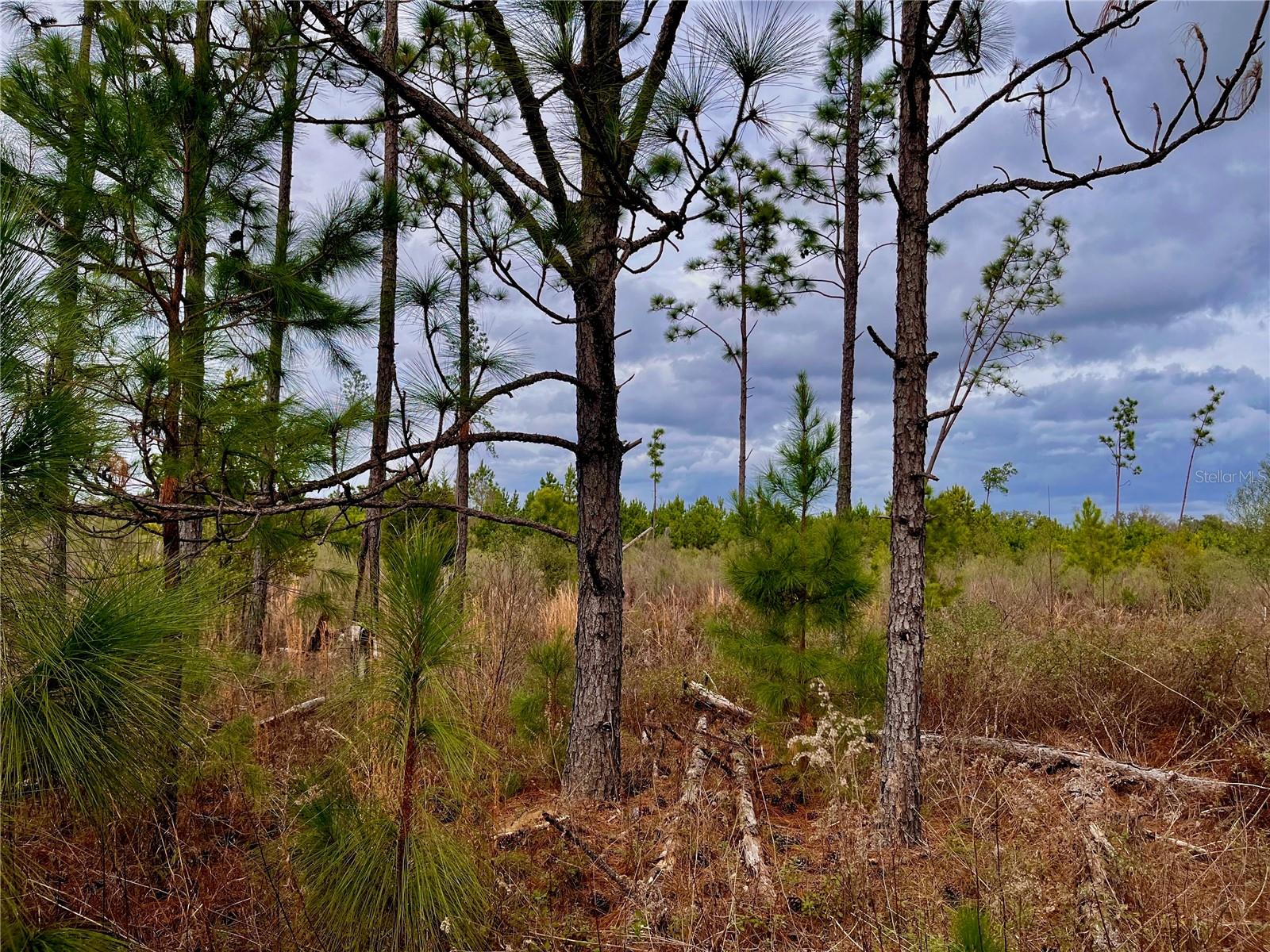1 BETHLEHEM RD, COTTONDALE, FL, 32431