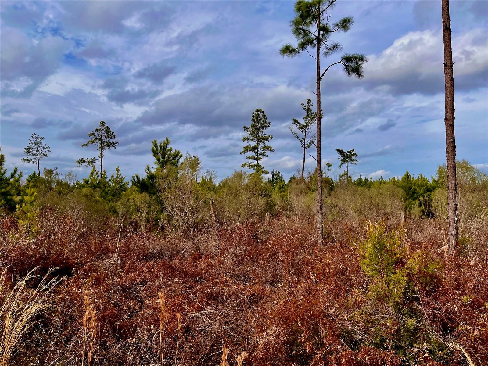 1 BETHLEHEM RD, COTTONDALE, FL, 32431
