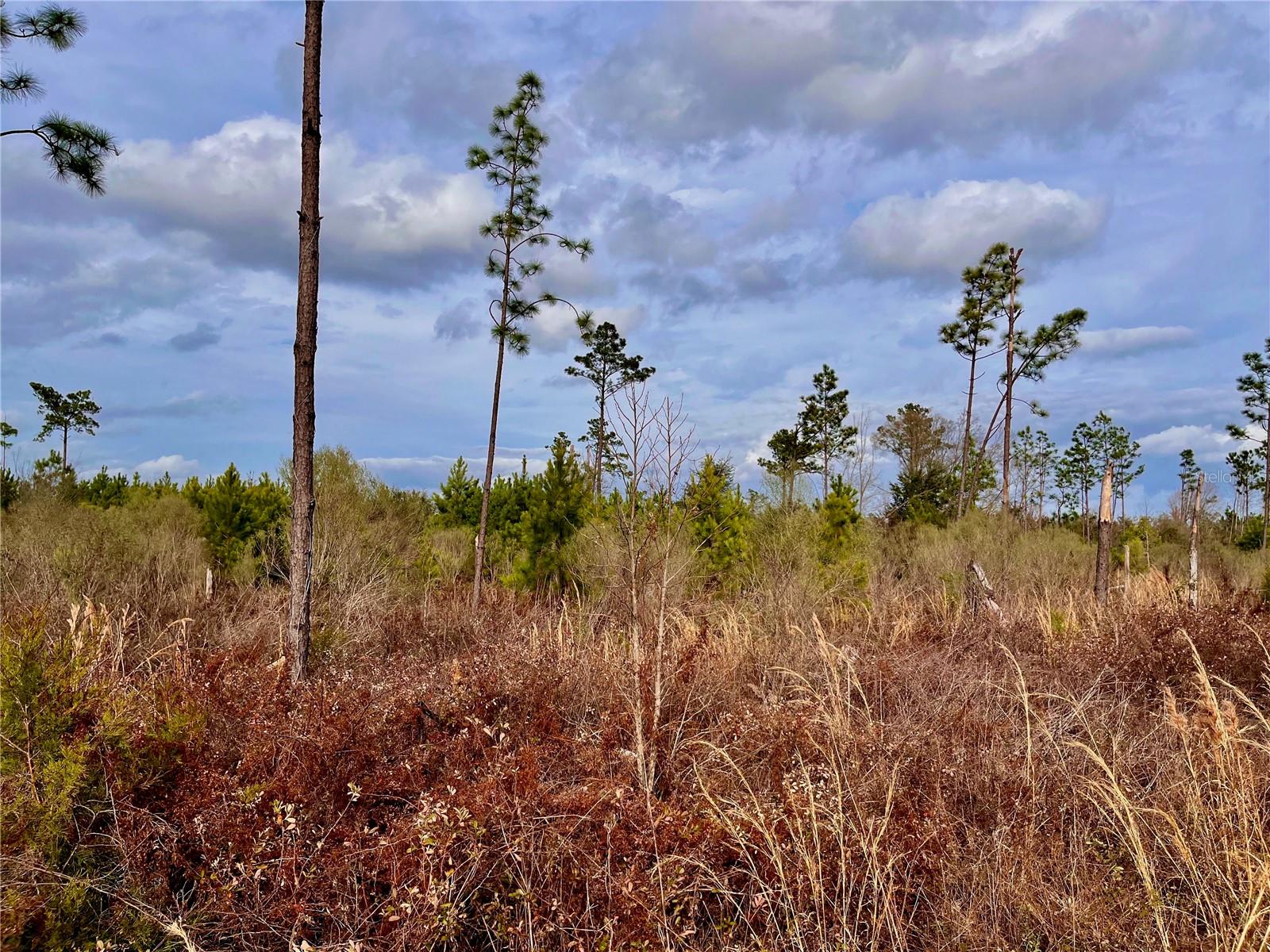 1 BETHLEHEM RD, COTTONDALE, FL, 32431