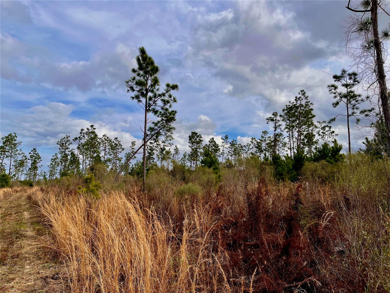 1 BETHLEHEM RD, COTTONDALE, FL, 32431