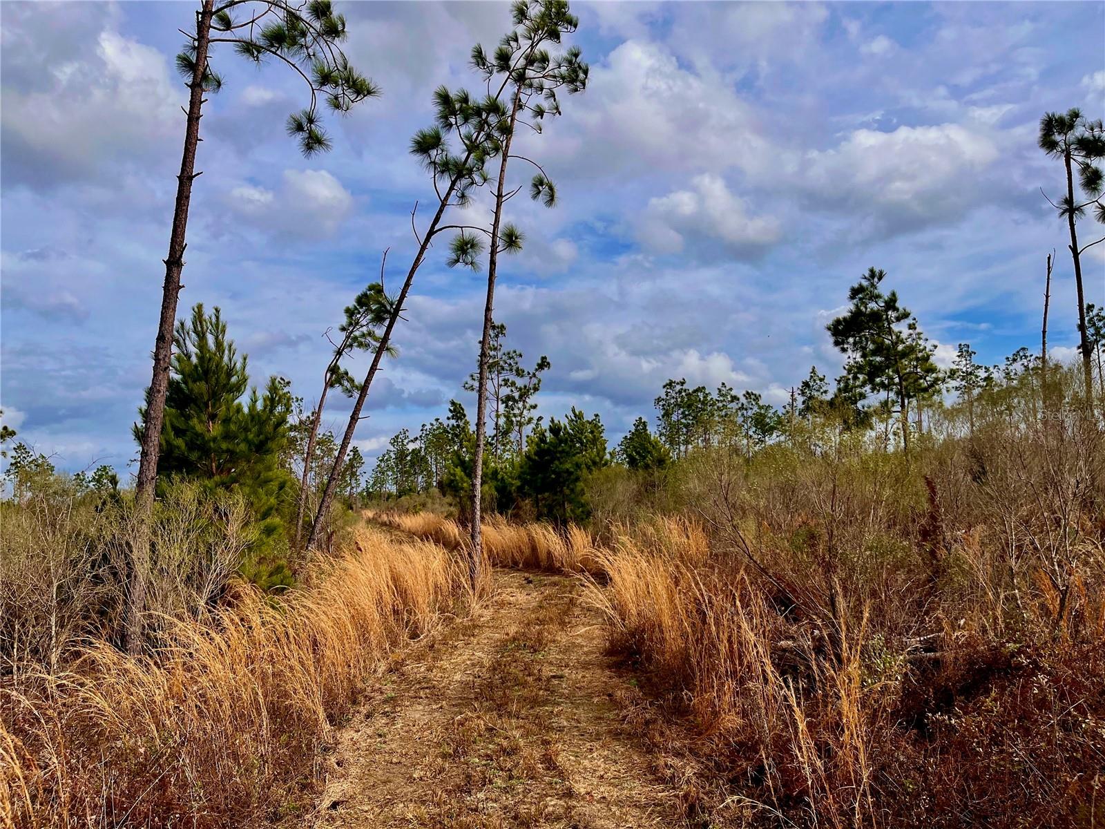 1 BETHLEHEM RD, COTTONDALE, FL, 32431