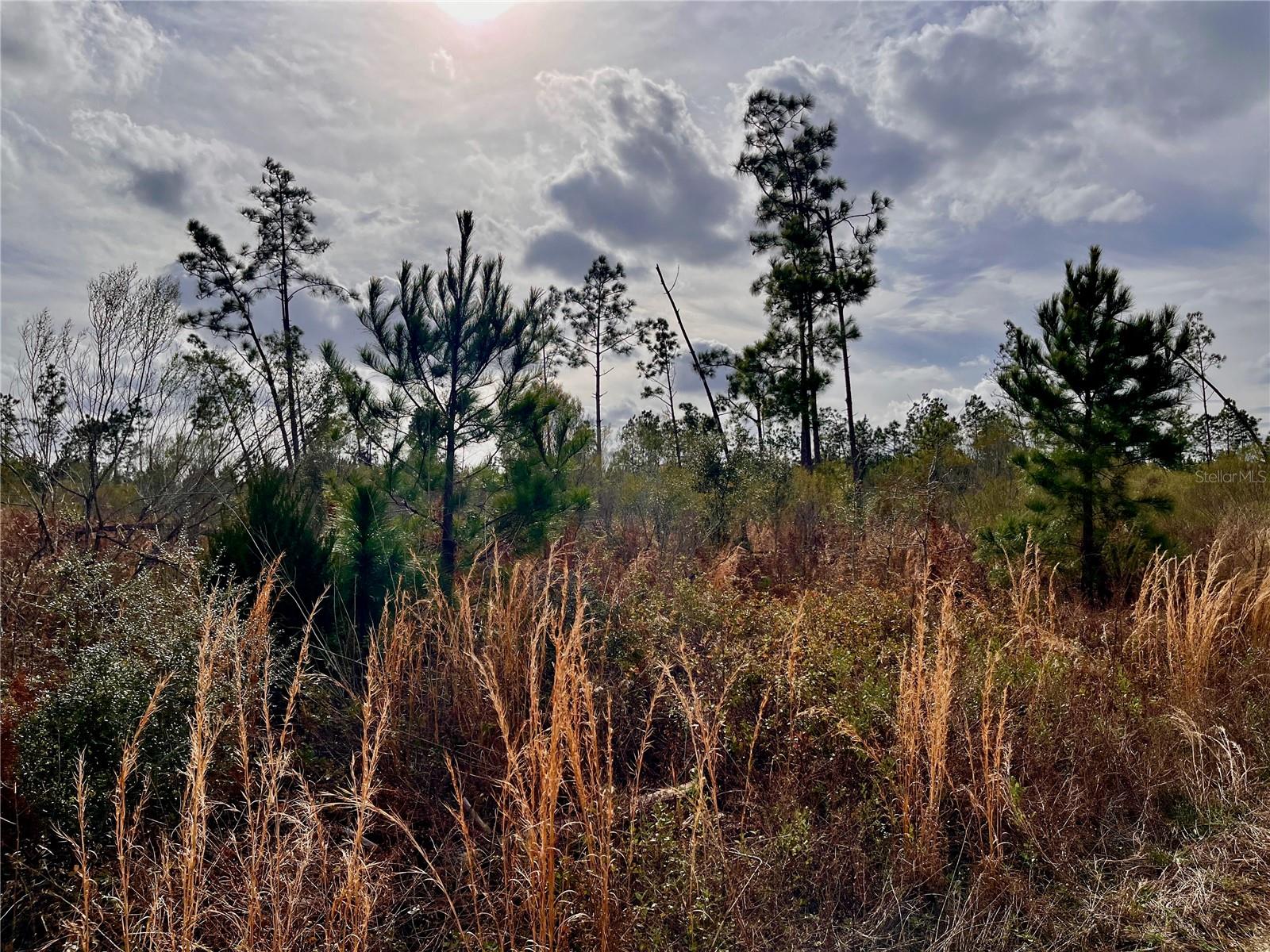 1 BETHLEHEM RD, COTTONDALE, FL, 32431