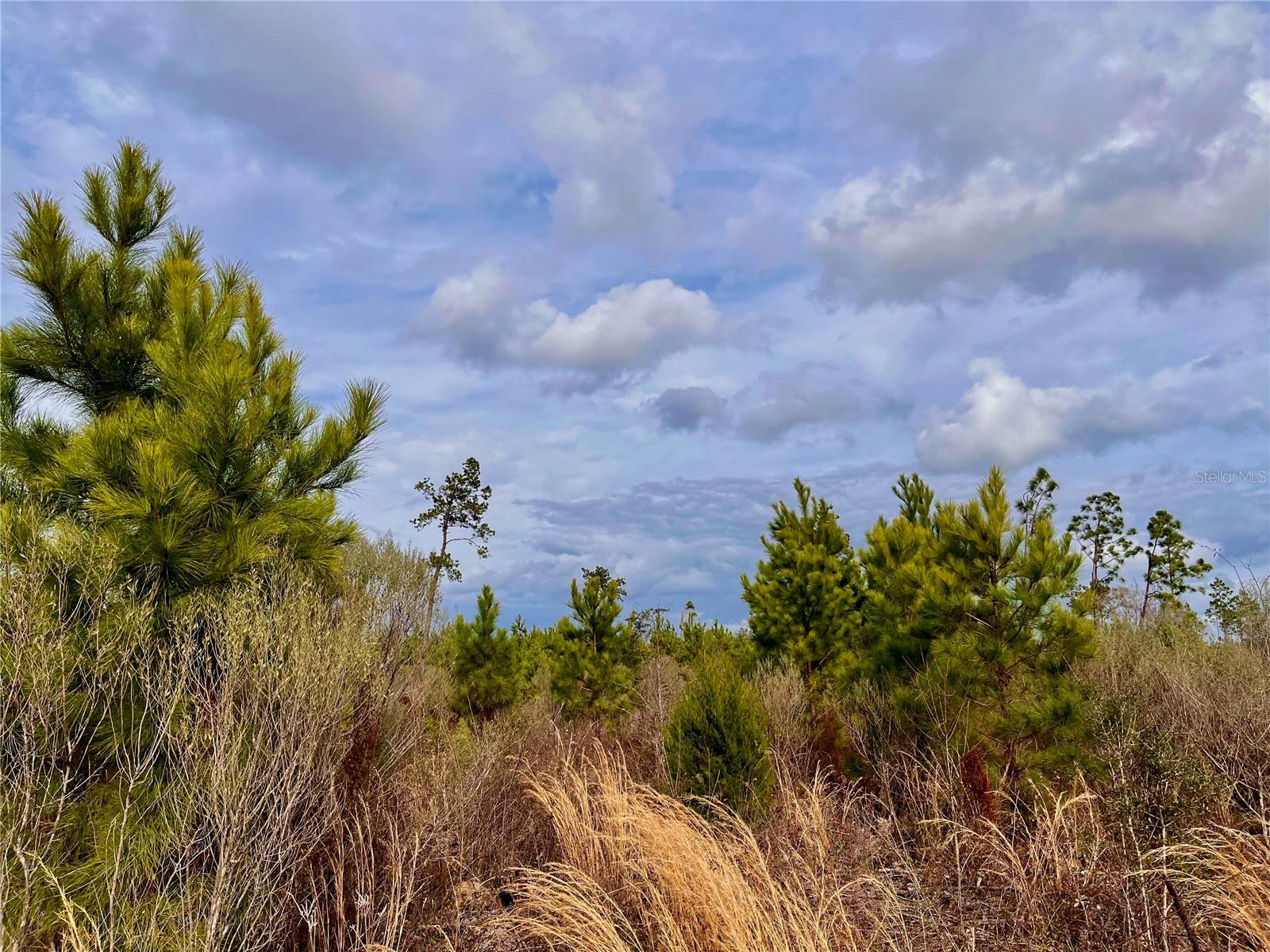 1 BETHLEHEM RD, COTTONDALE, FL, 32431