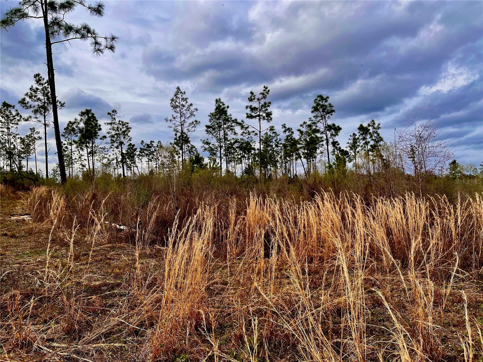 1 BETHLEHEM RD, COTTONDALE, FL, 32431