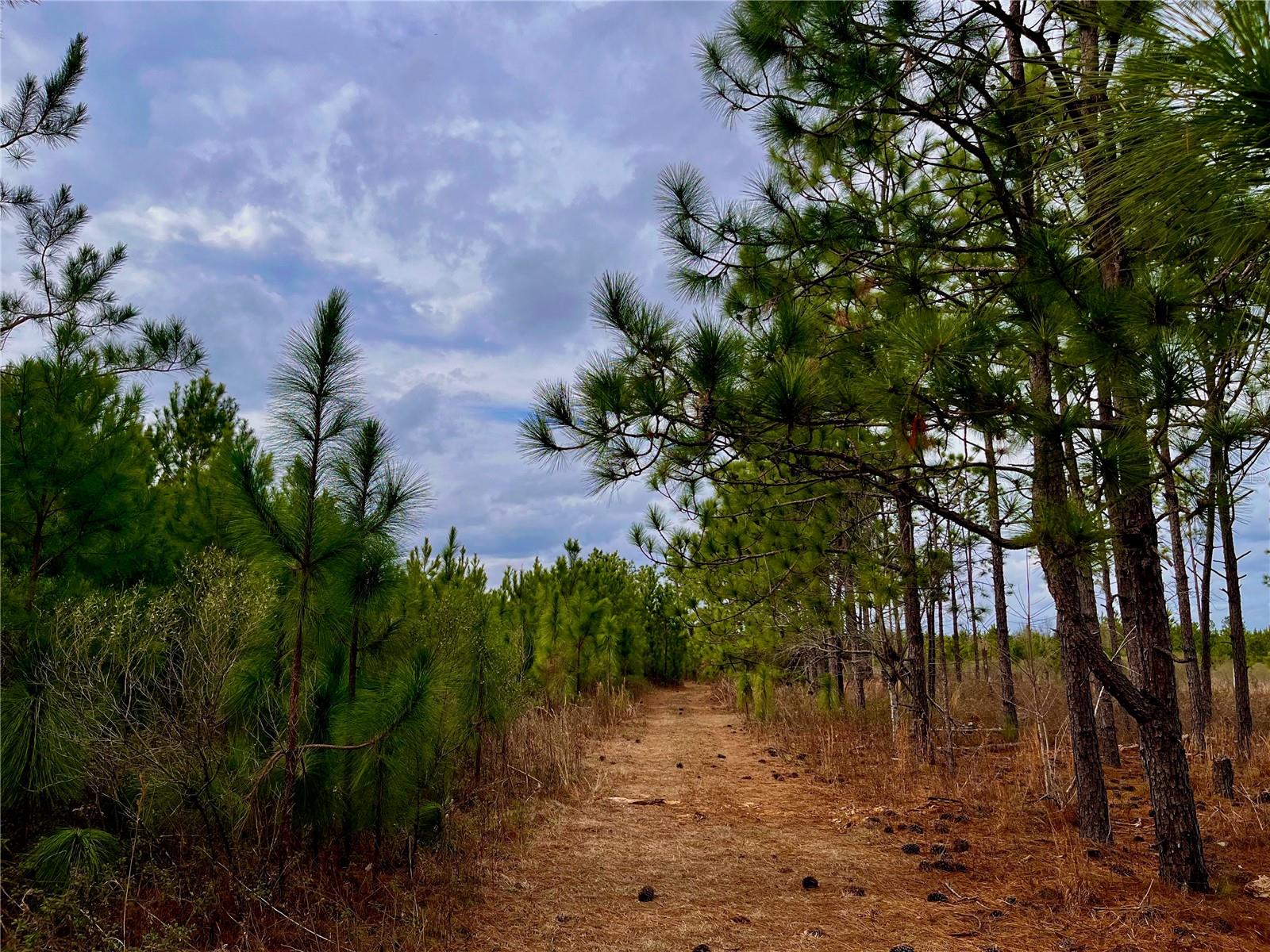 1 BETHLEHEM RD, COTTONDALE, FL, 32431