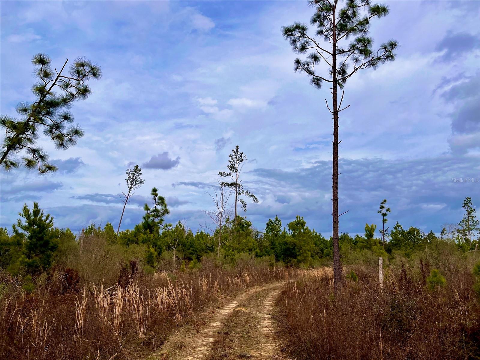 1 BETHLEHEM RD, COTTONDALE, FL, 32431