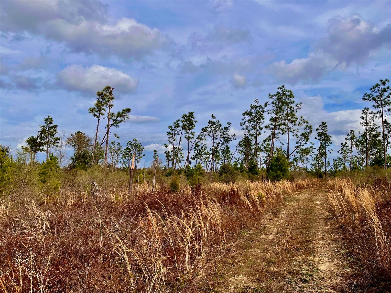 1 BETHLEHEM RD, COTTONDALE, FL, 32431