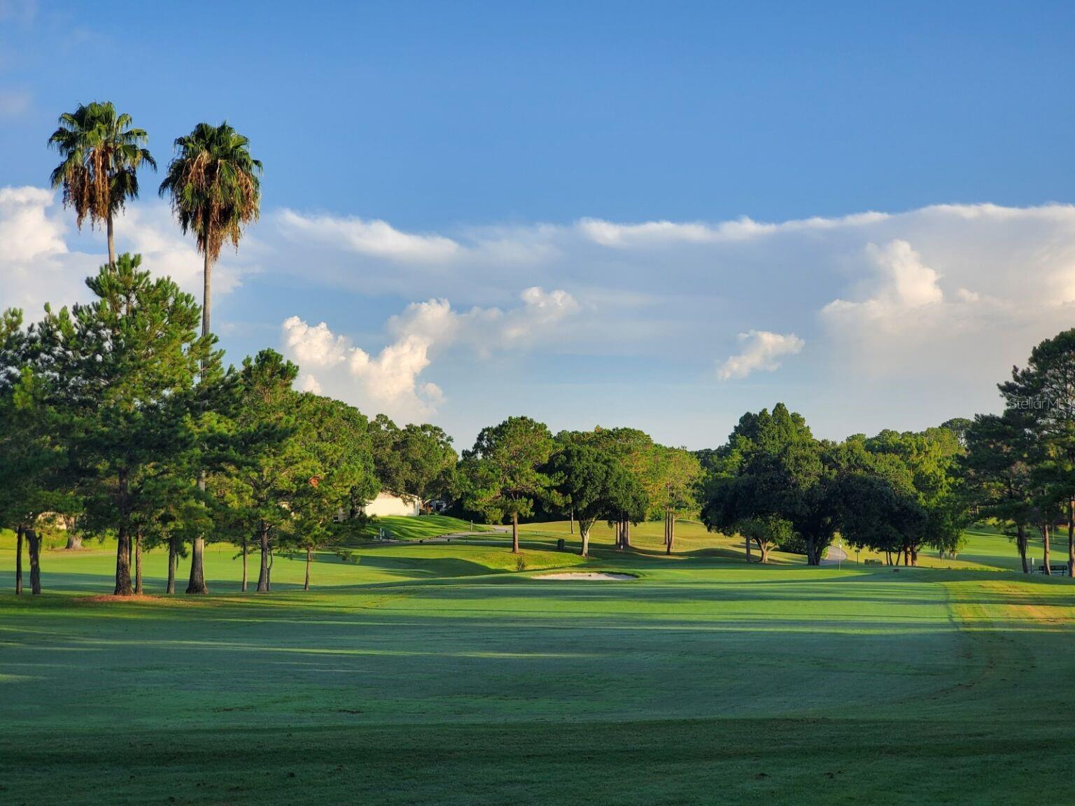 947 MADRID DR, PALM HARBOR, FL, 34684
