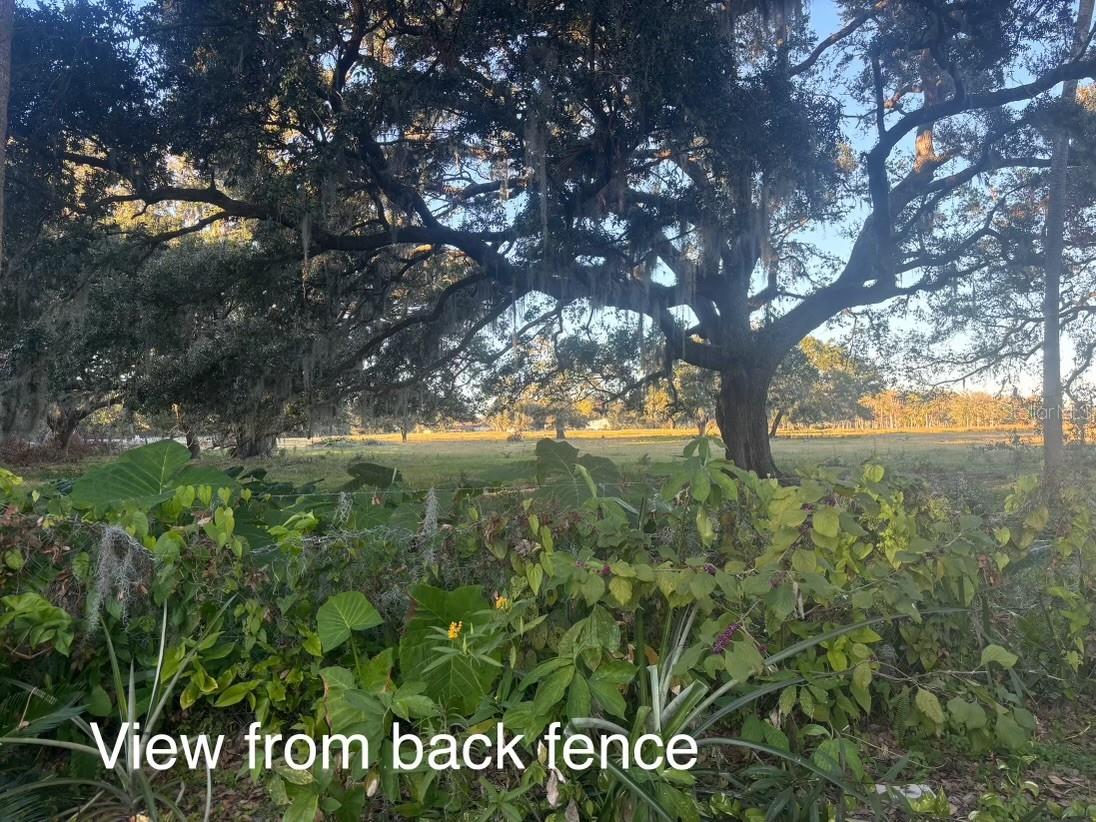 3745 LACEY LN, NEW SMYRNA BEACH, FL, 32168