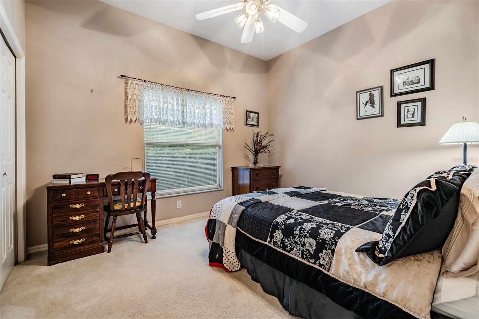 5003 BELMONT RD, TAMPA, FL, 33647