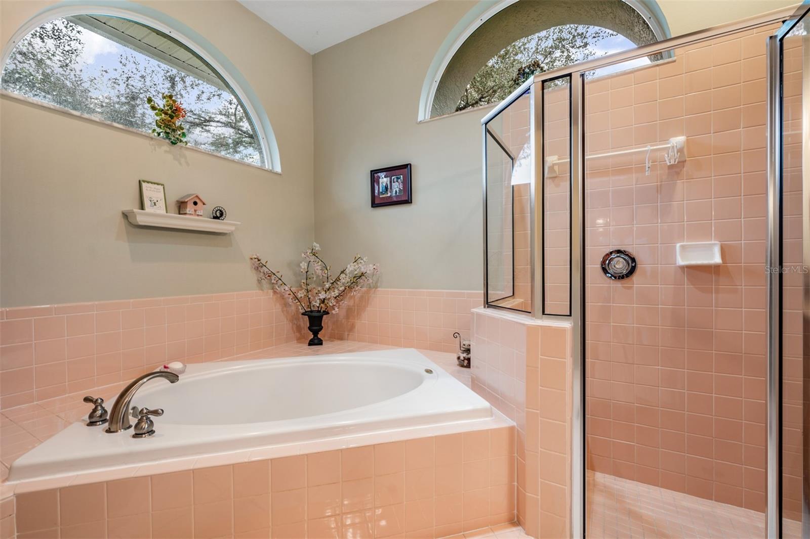 5003 BELMONT RD, TAMPA, FL, 33647
