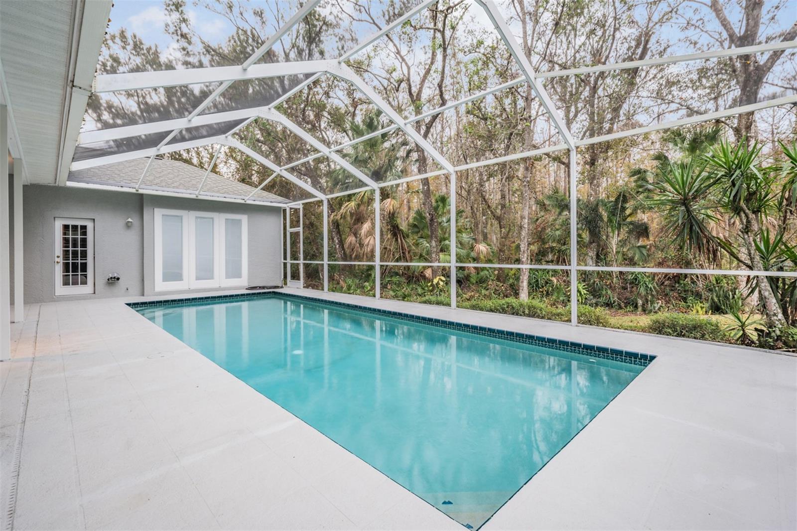 5003 BELMONT RD, TAMPA, FL, 33647