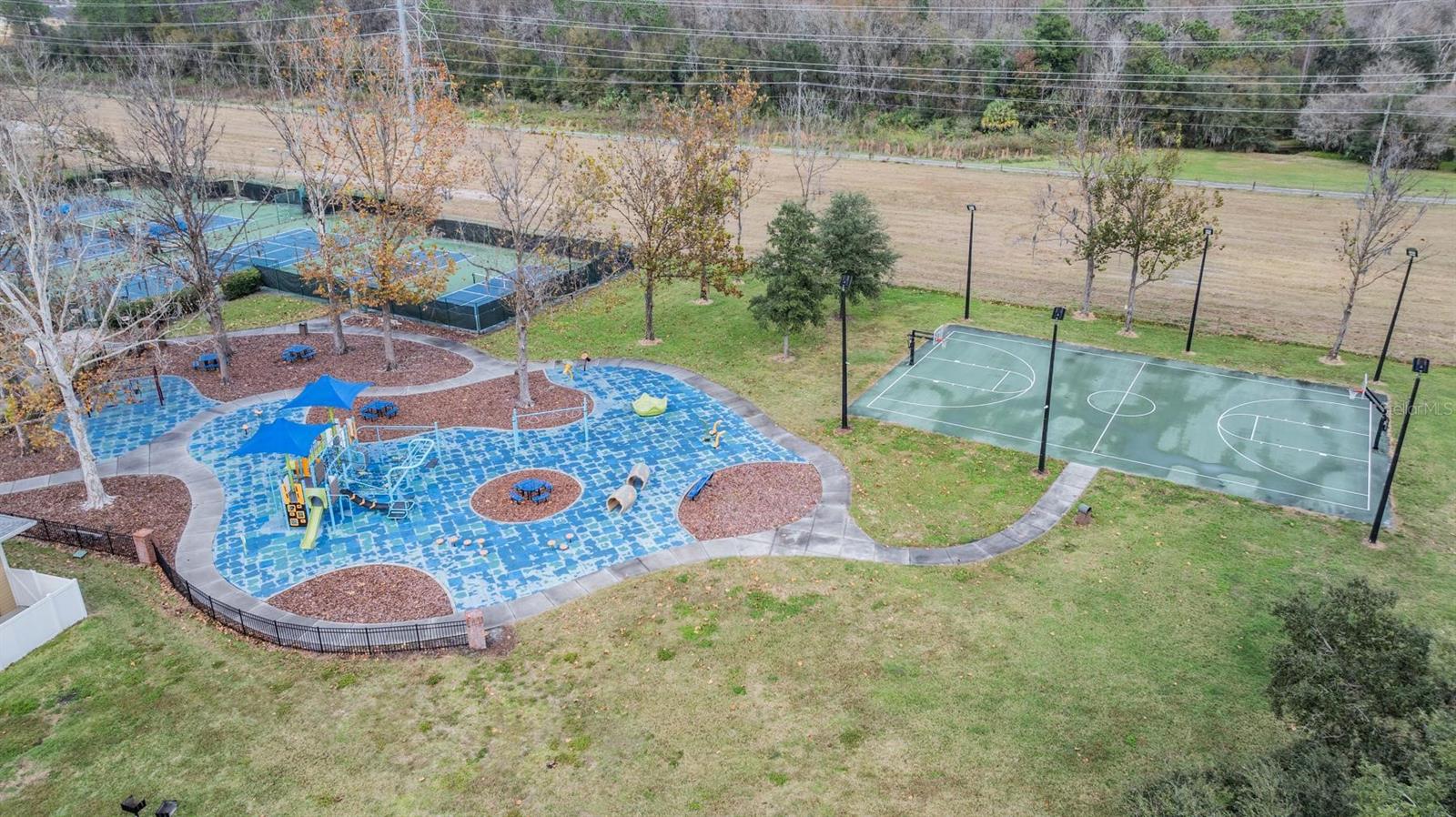 5003 BELMONT RD, TAMPA, FL, 33647