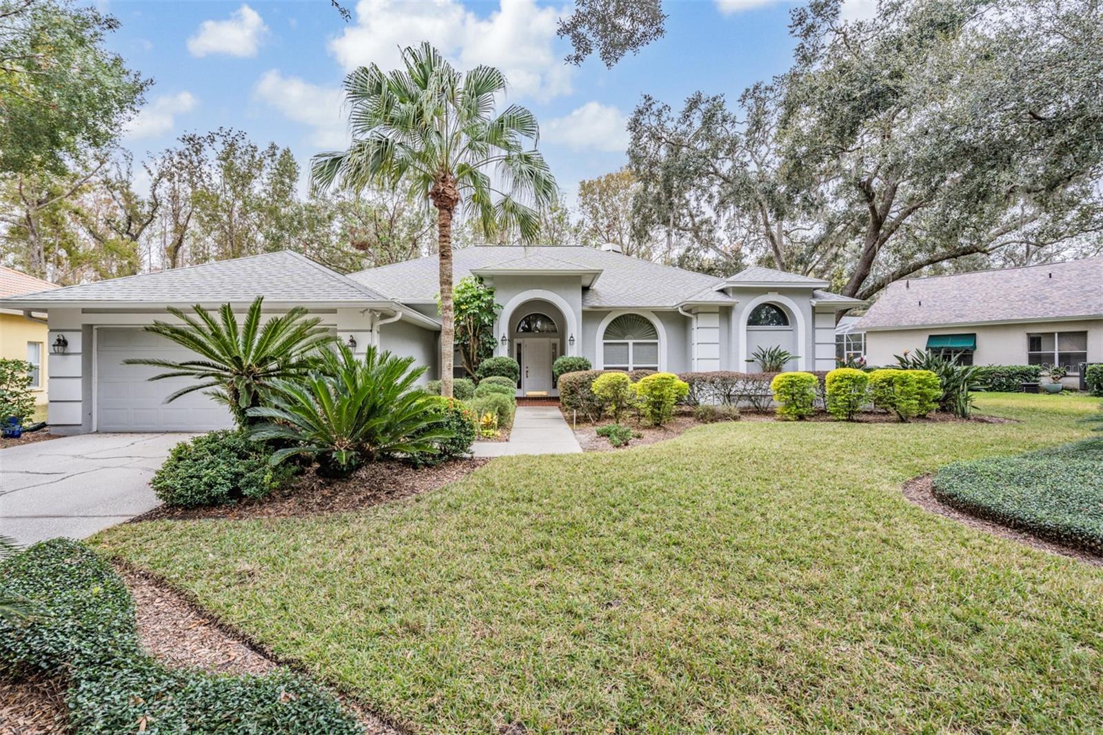 5003 BELMONT RD, TAMPA, FL, 33647