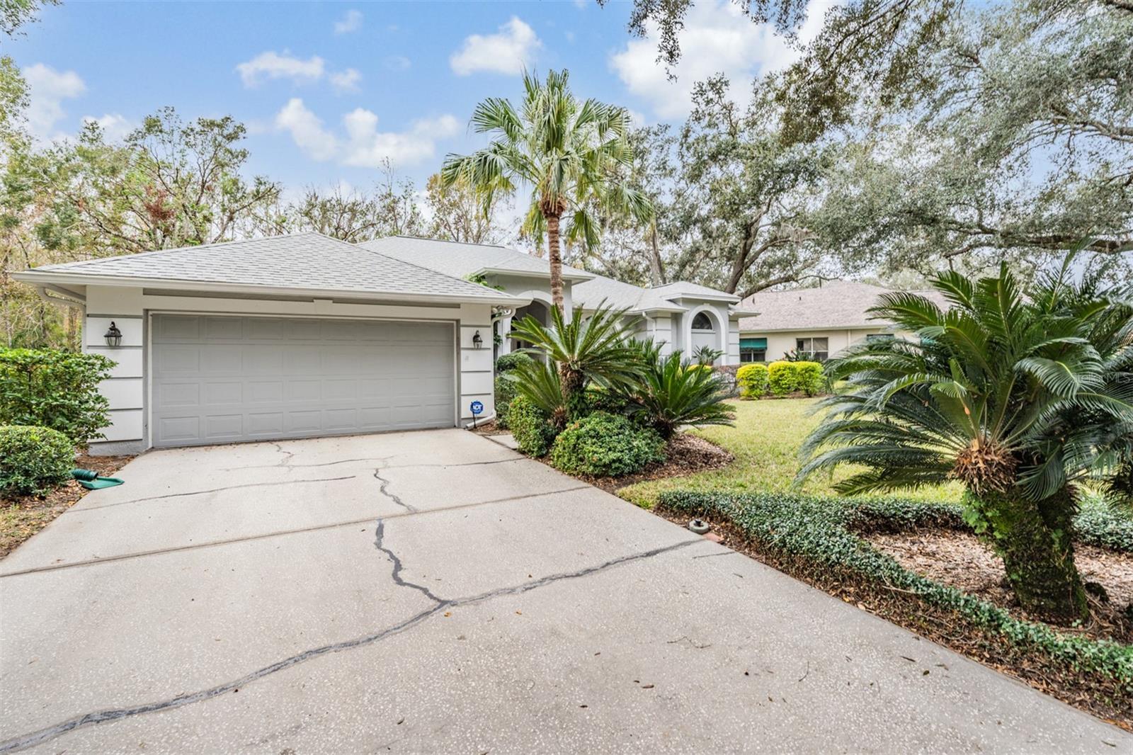 5003 BELMONT RD, TAMPA, FL, 33647