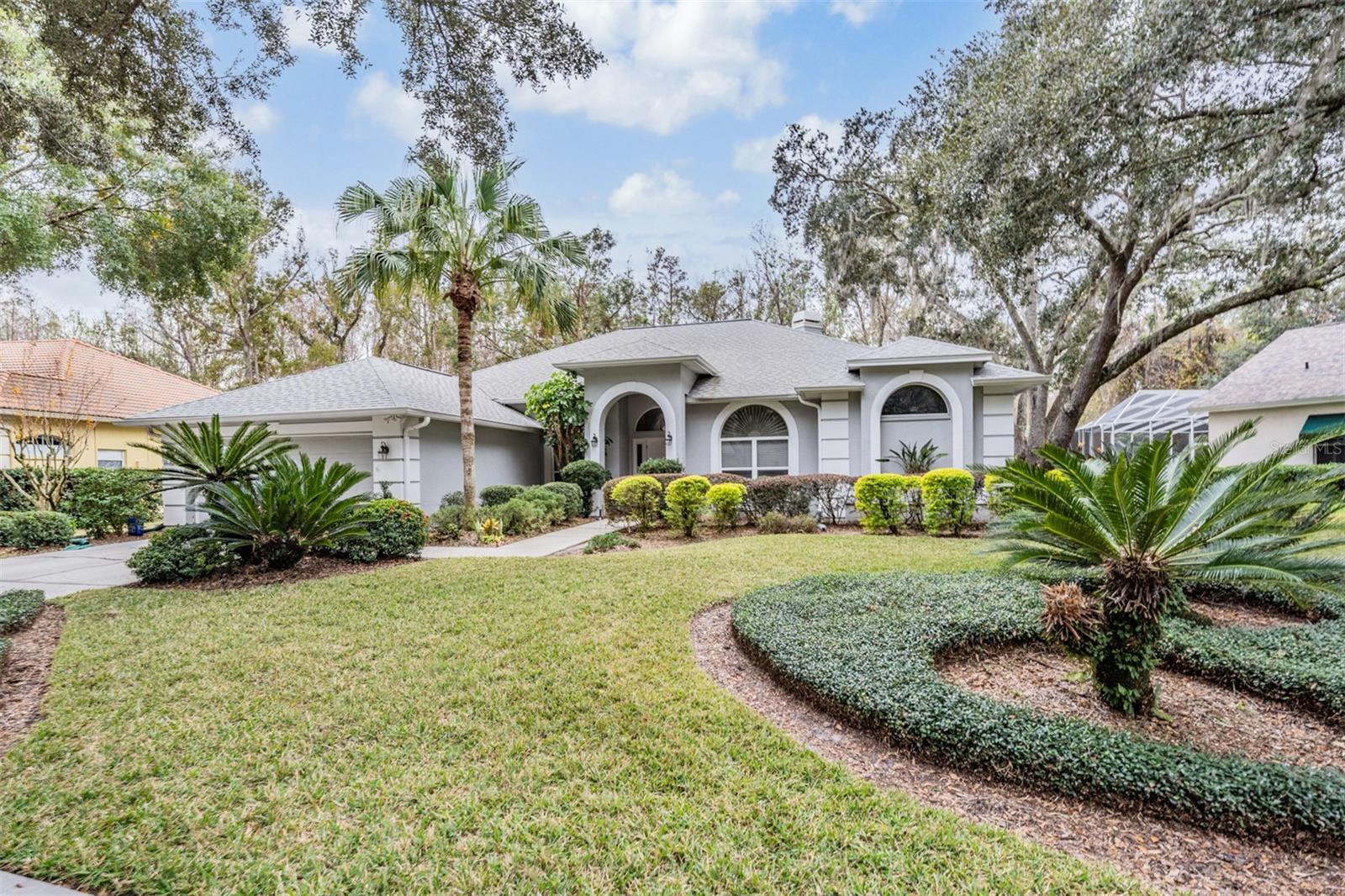 5003 BELMONT RD, TAMPA, FL, 33647