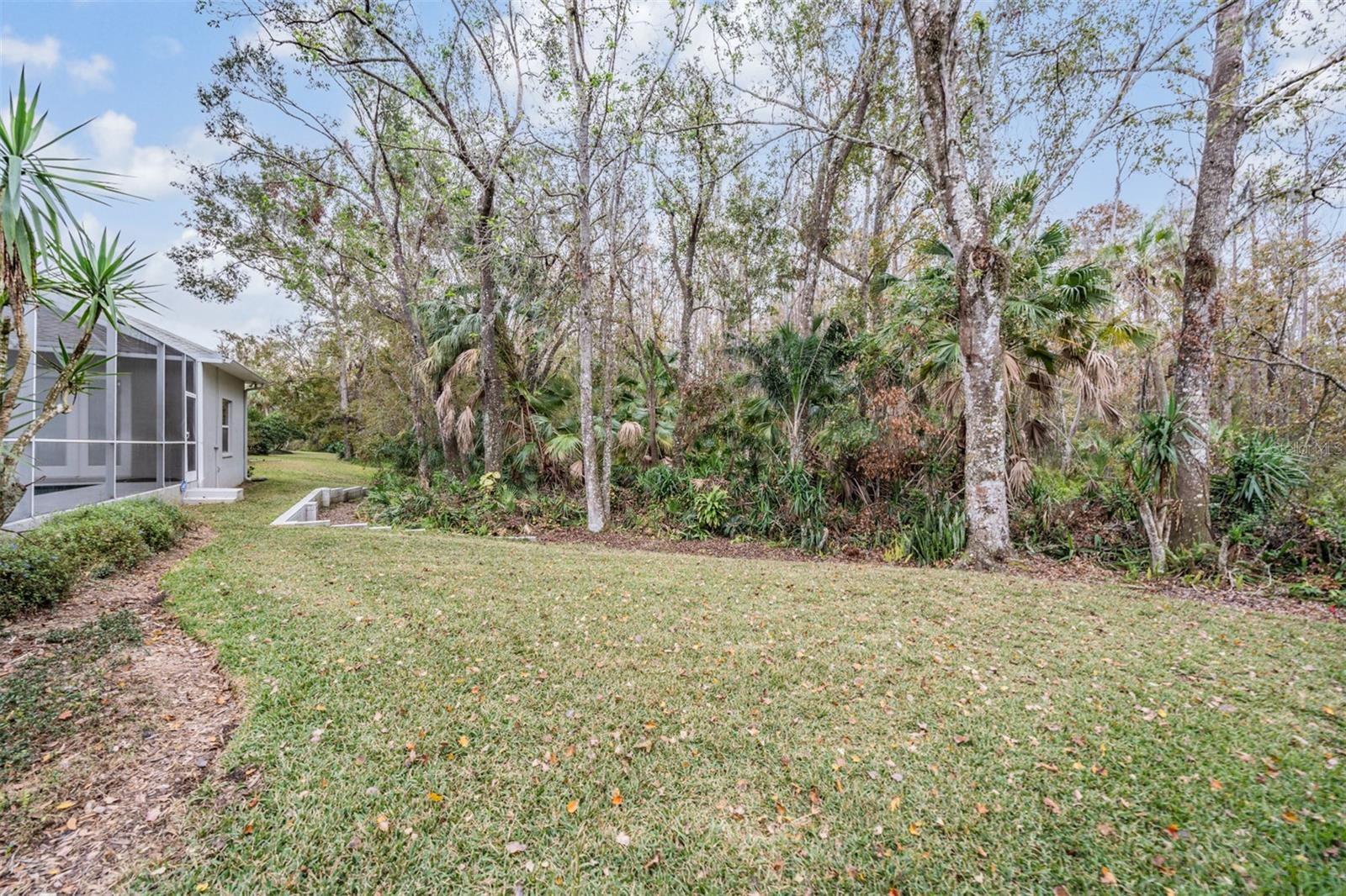 5003 BELMONT RD, TAMPA, FL, 33647