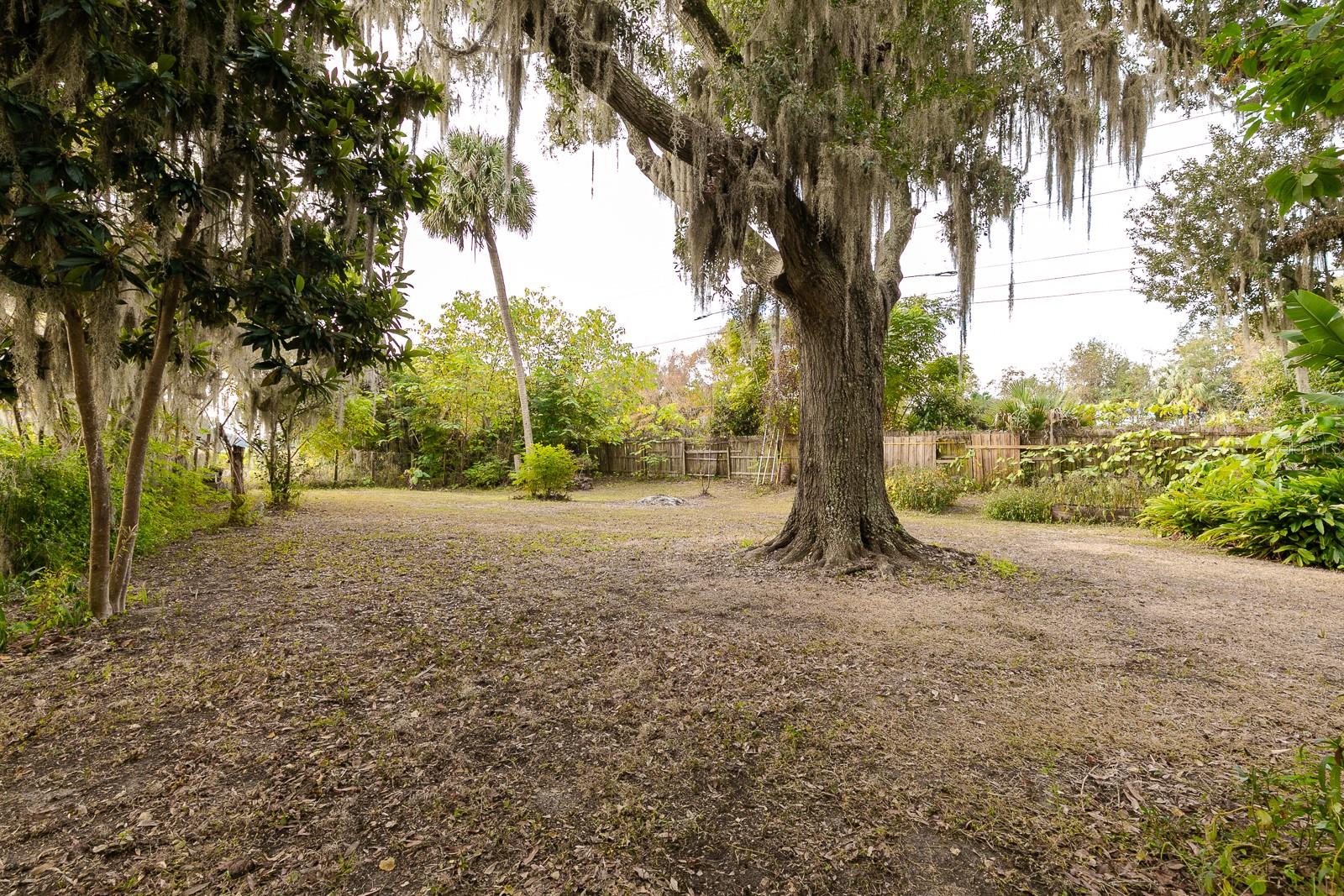 21854 NW 60TH AVE, MICANOPY, FL, 32667