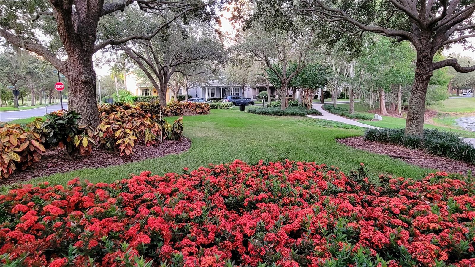 5440 NEW INDEPENDENCE PKWY, WINTER GARDEN, FL, 34787