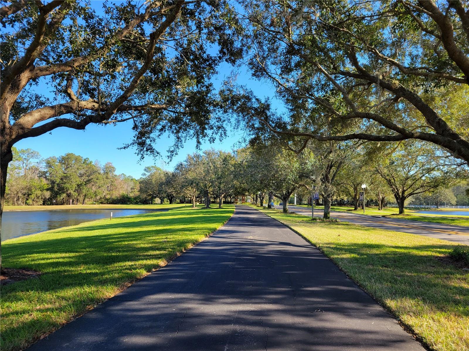 5440 NEW INDEPENDENCE PKWY, WINTER GARDEN, FL, 34787