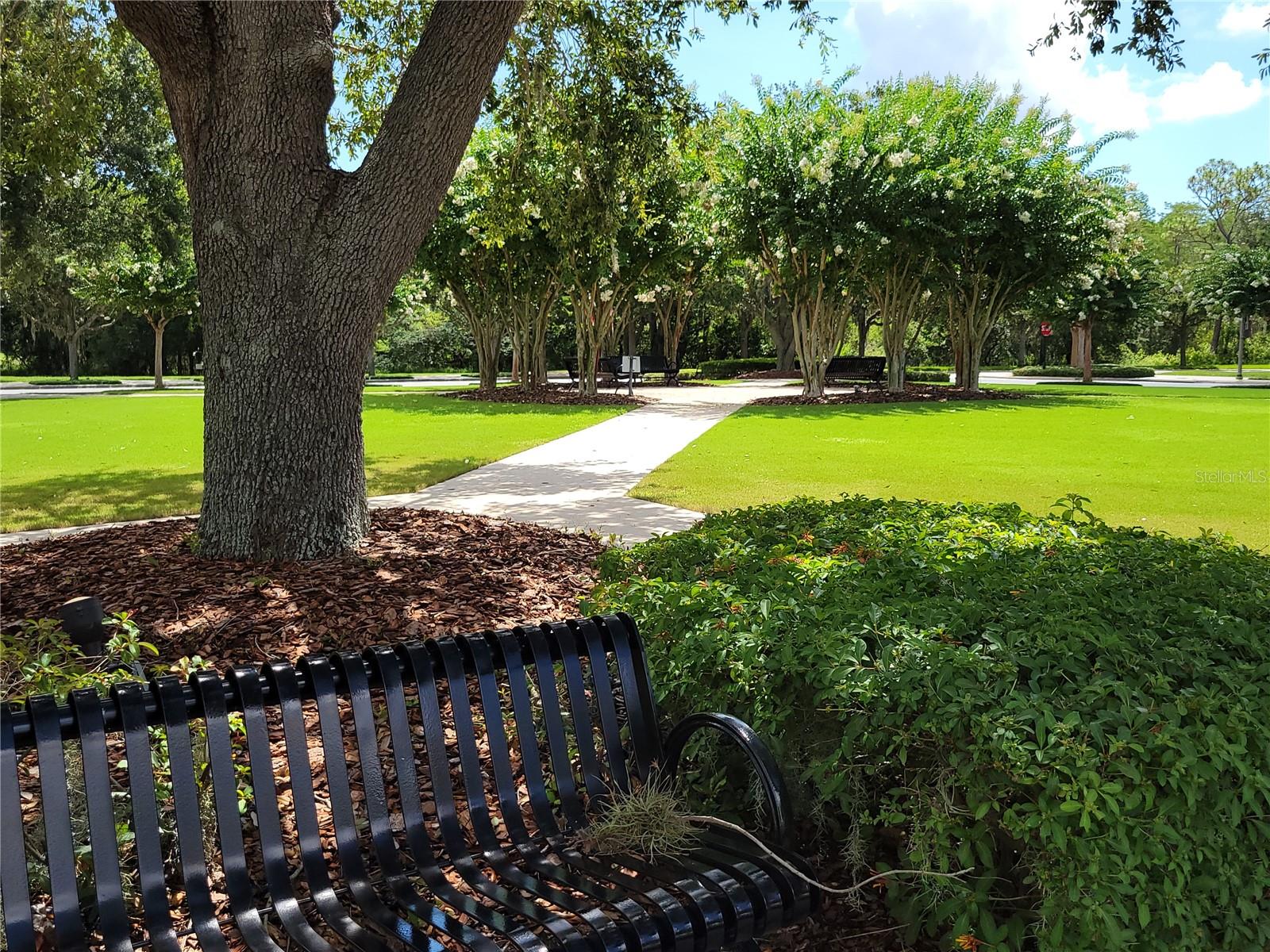 5440 NEW INDEPENDENCE PKWY, WINTER GARDEN, FL, 34787