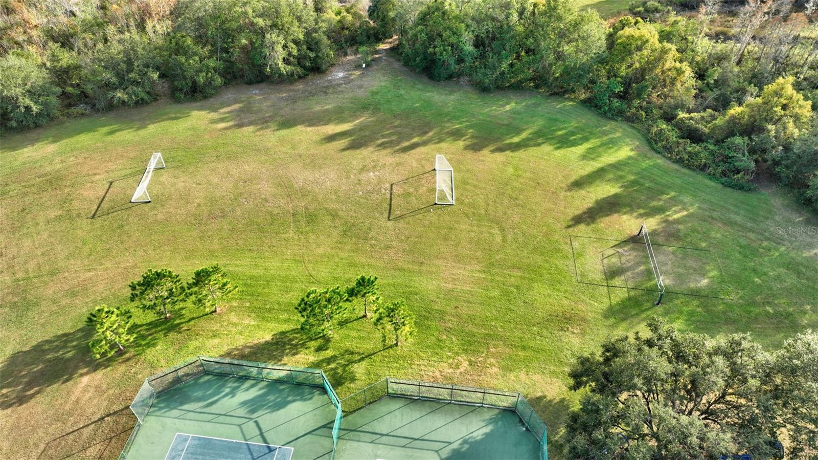 6508 GRAZING LN, ODESSA, FL, 33556