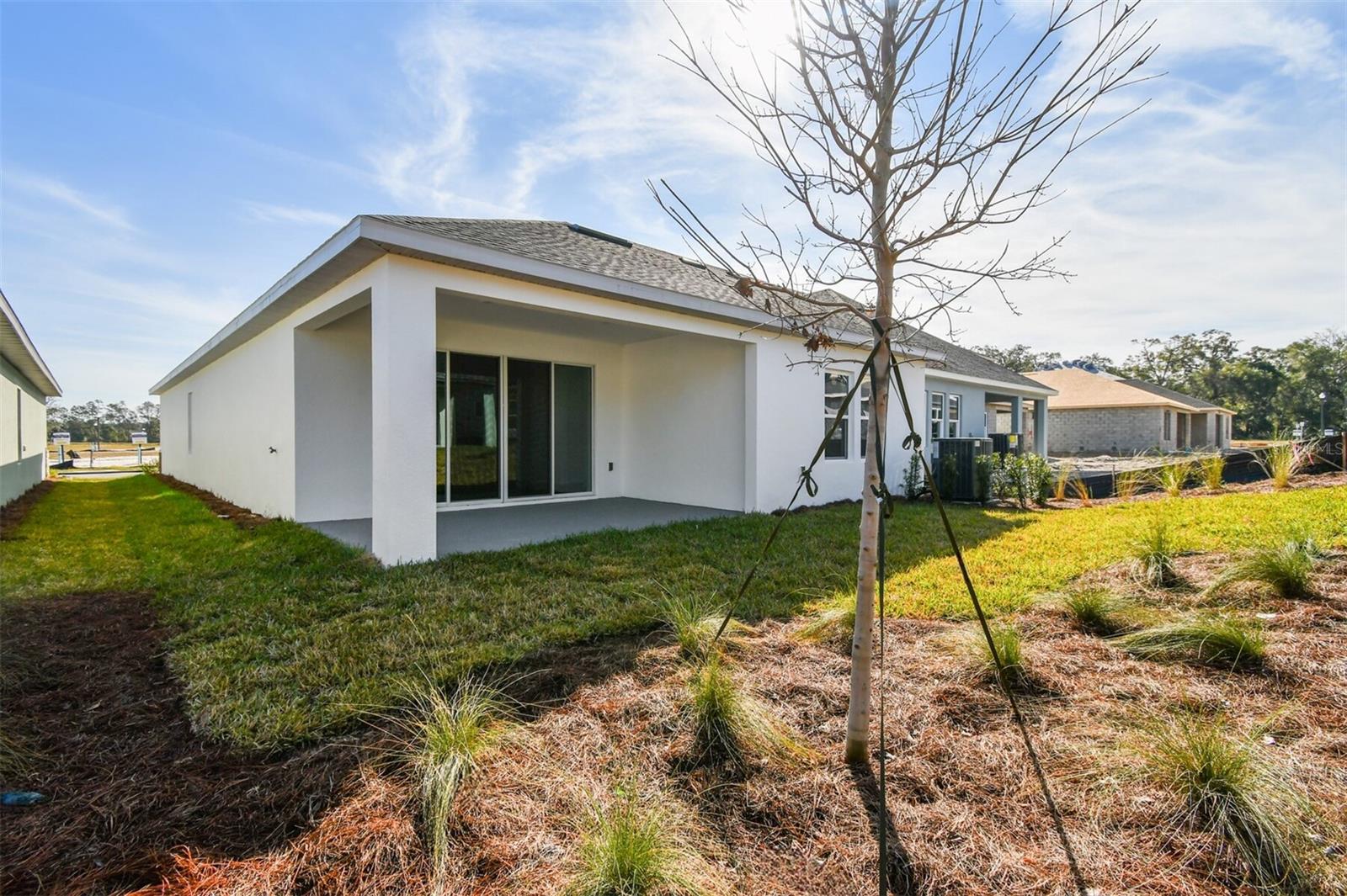 5938 BRISTLE OAK ST, MOUNT DORA, FL, 32757