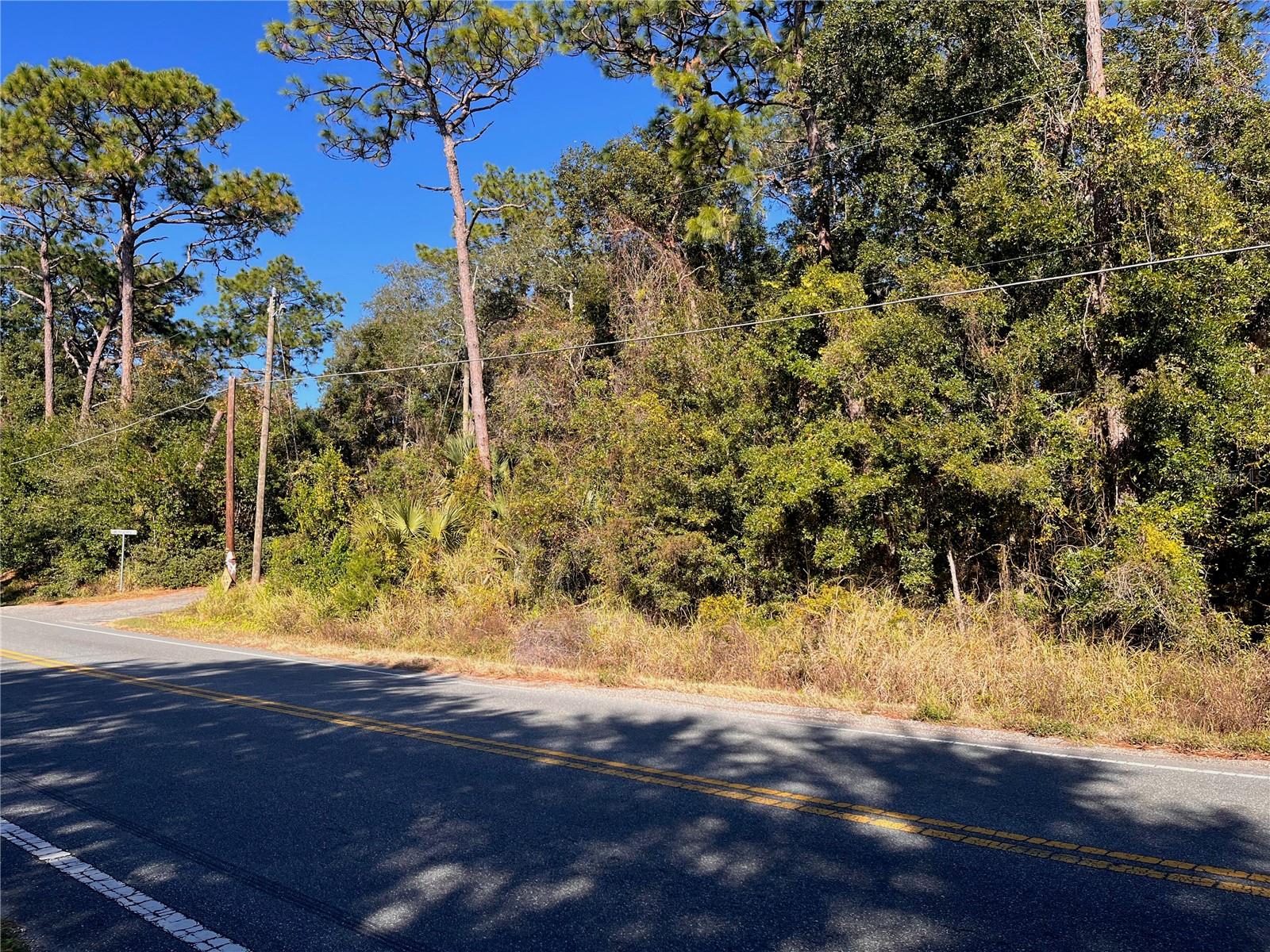 LAKE HOSPITALITY LN, ALTOONA, FL, 32702
