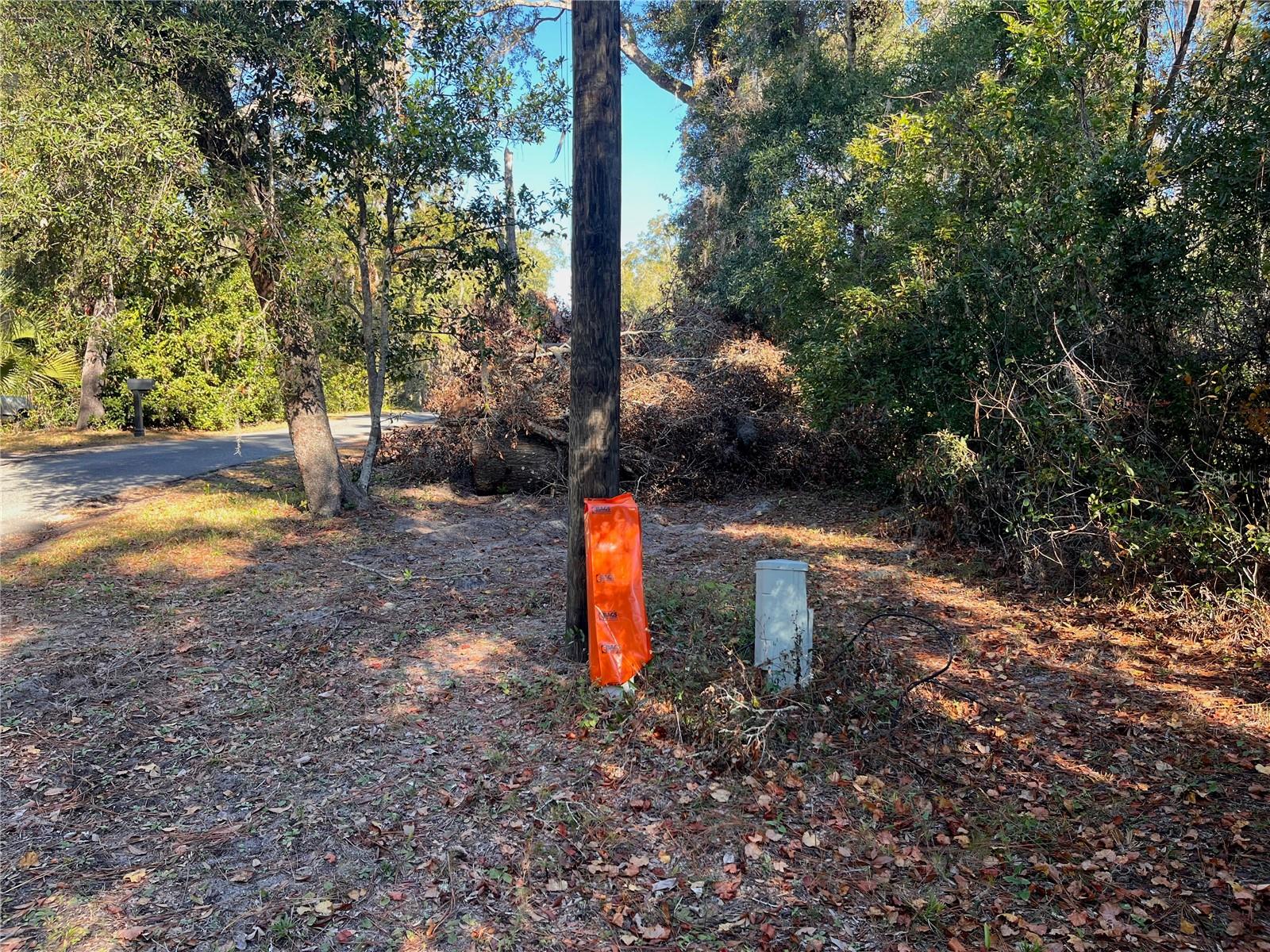 LAKE HOSPITALITY LN, ALTOONA, FL, 32702