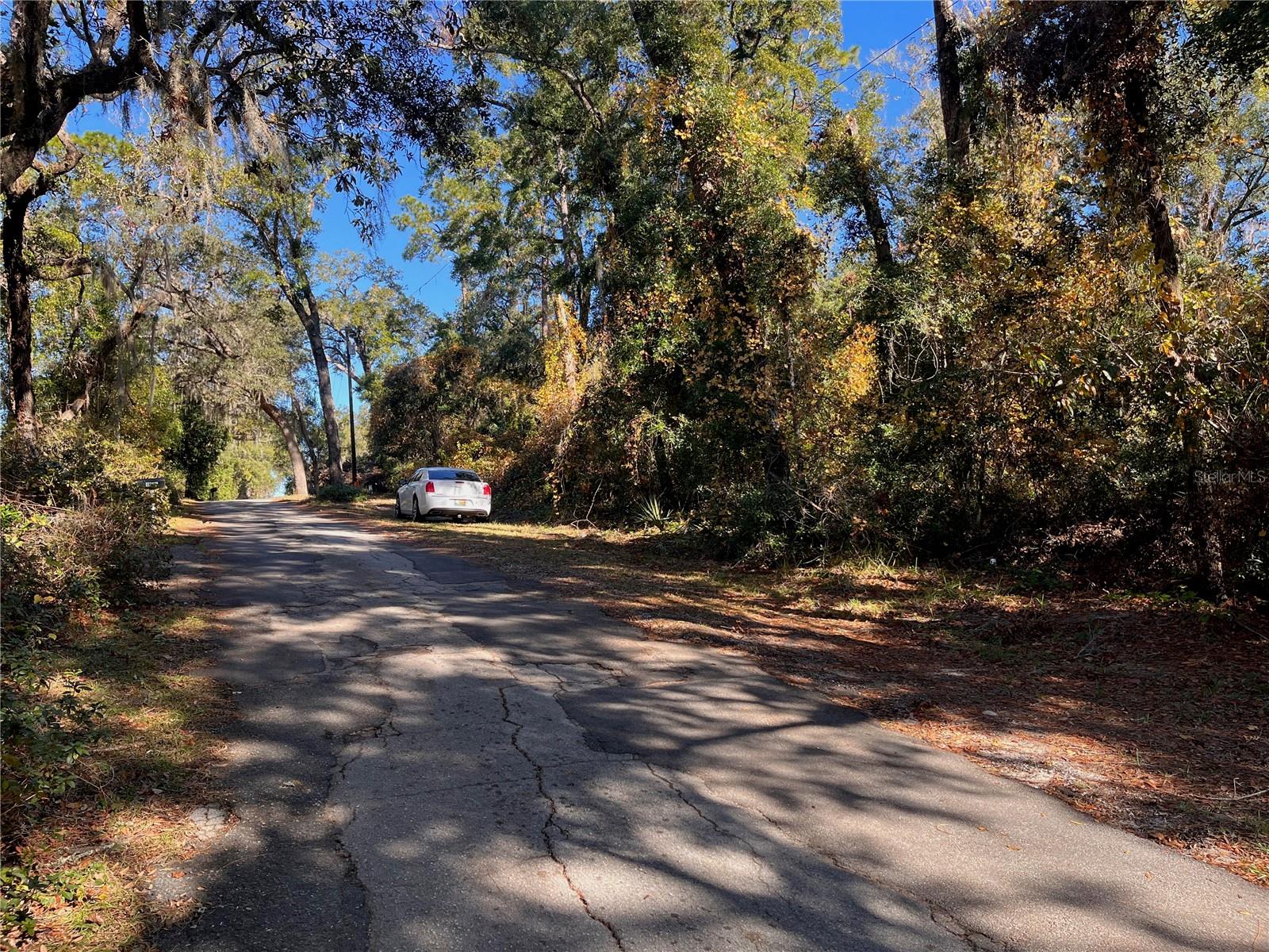 LAKE HOSPITALITY LN, ALTOONA, FL, 32702