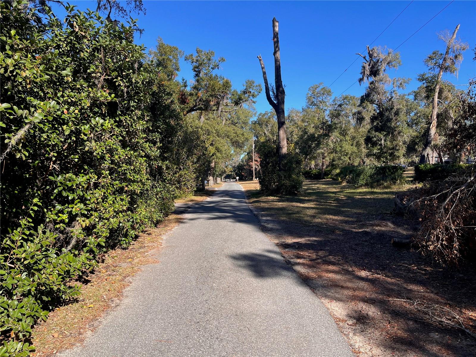 LAKE HOSPITALITY LN, ALTOONA, FL, 32702