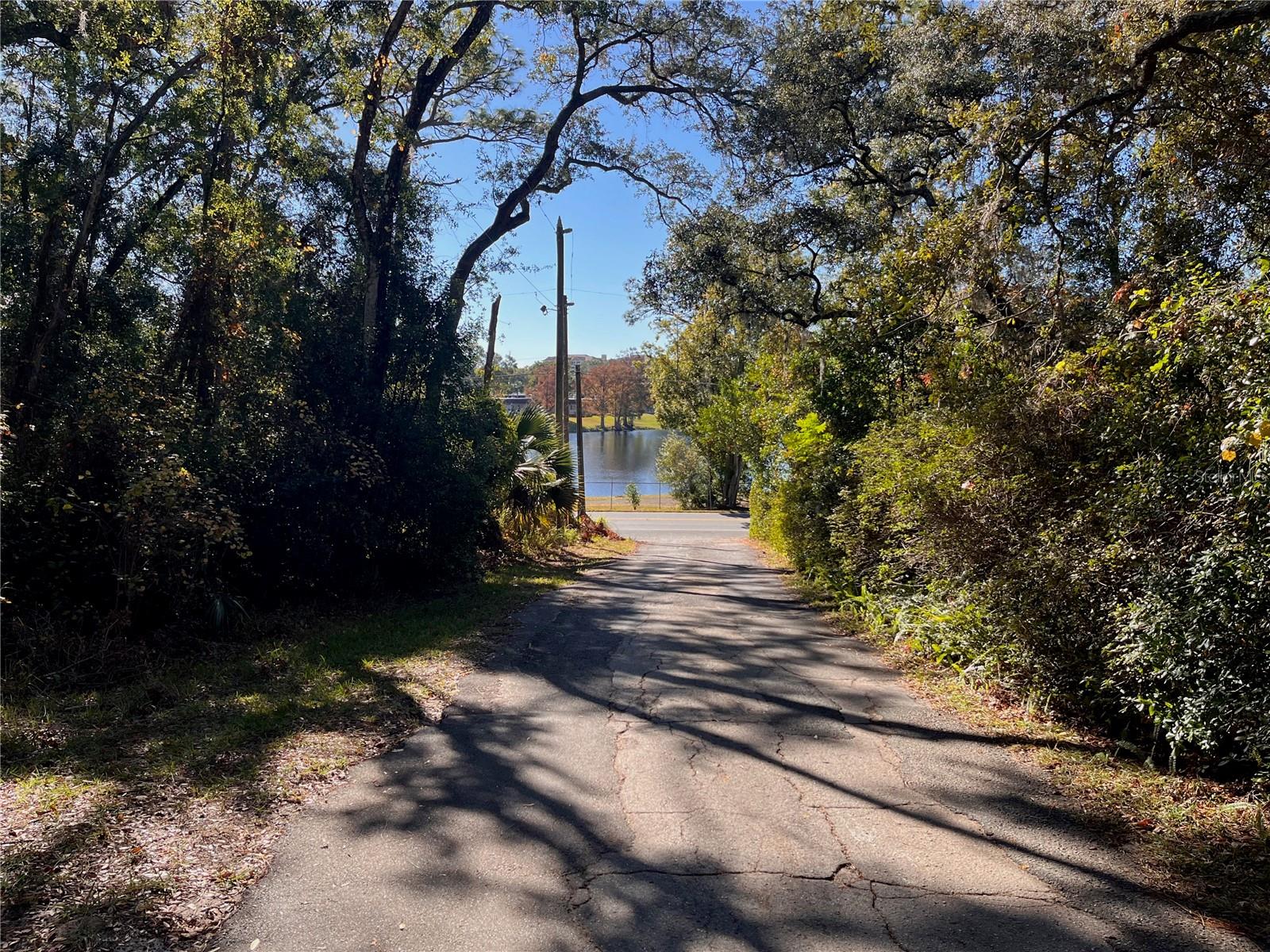 LAKE HOSPITALITY LN, ALTOONA, FL, 32702