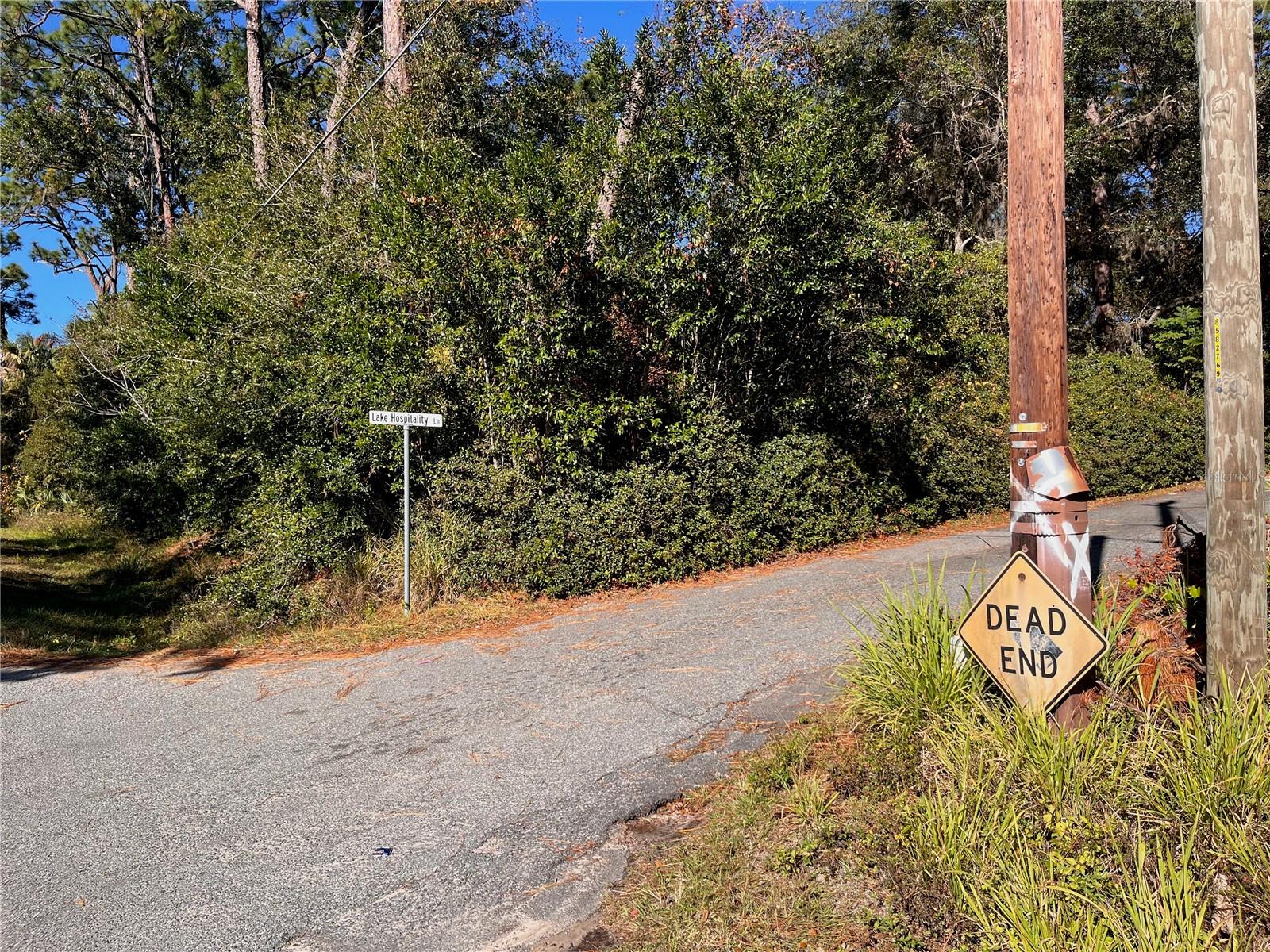 LAKE HOSPITALITY LN, ALTOONA, FL, 32702