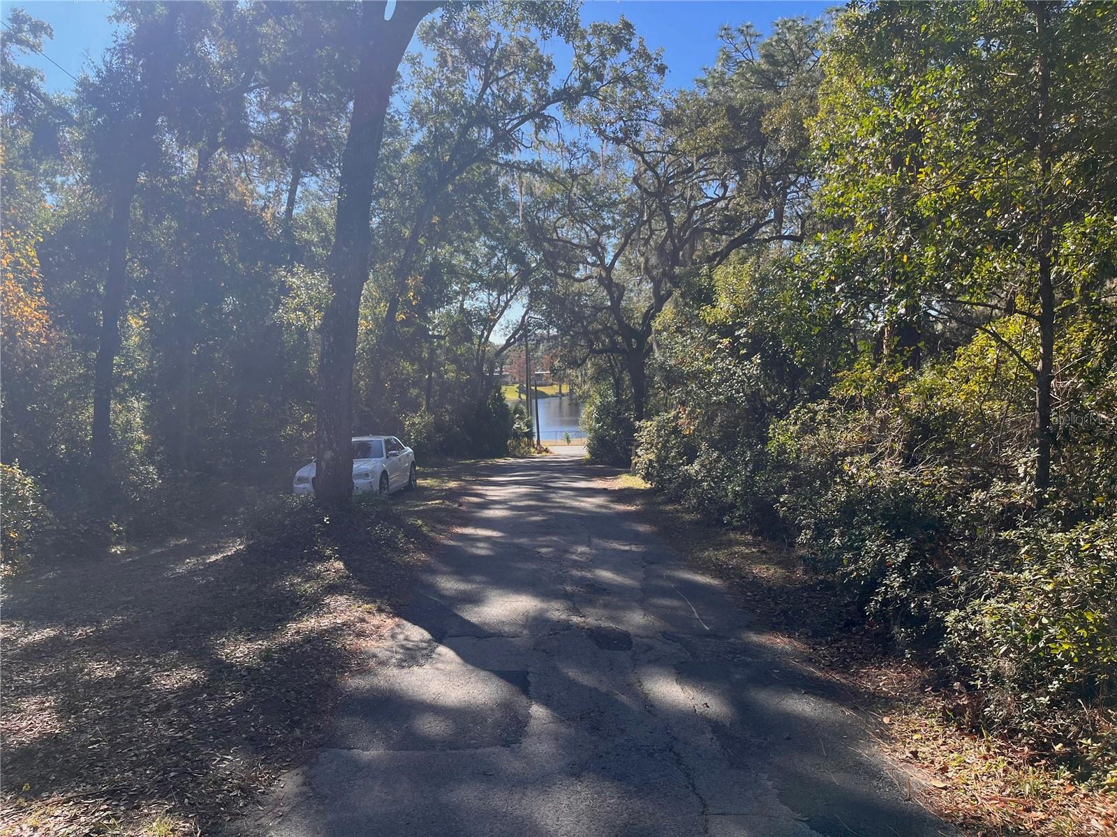 LAKE HOSPITALITY LN, ALTOONA, FL, 32702