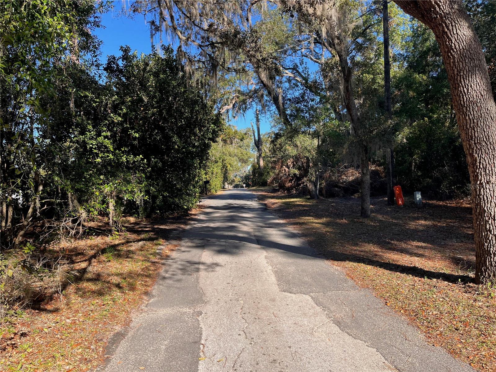 LAKE HOSPITALITY LN, ALTOONA, FL, 32702