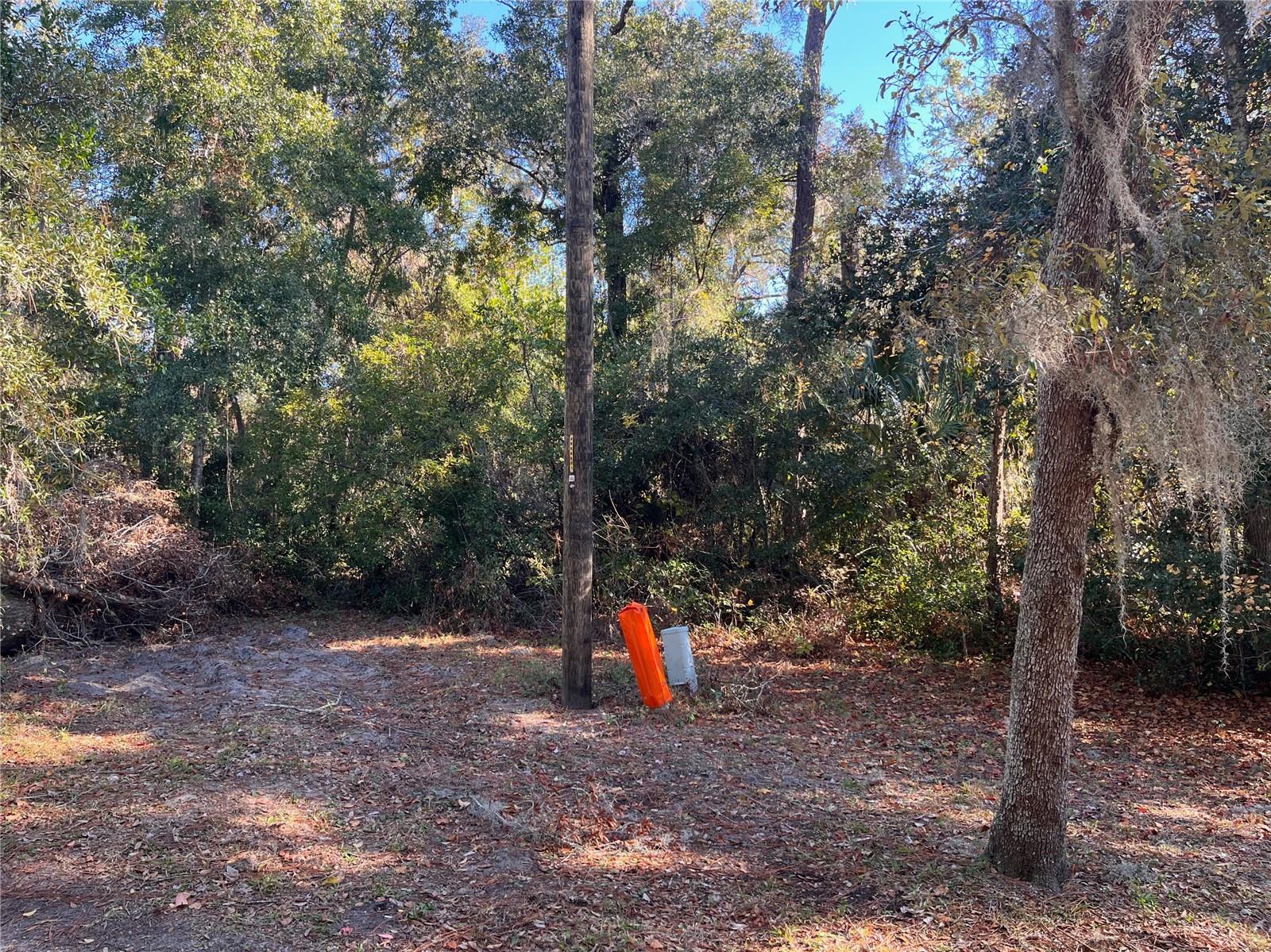 LAKE HOSPITALITY LN, ALTOONA, FL, 32702