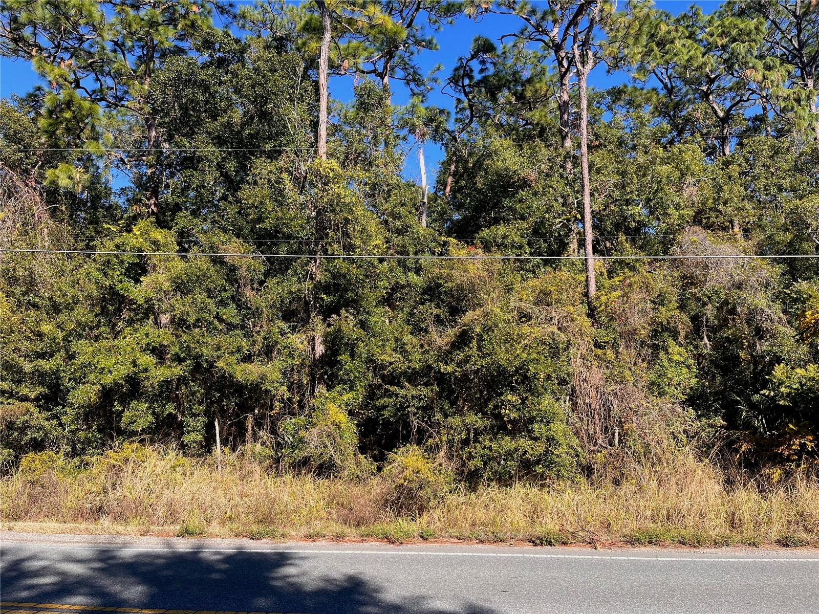 LAKE HOSPITALITY LN, ALTOONA, FL, 32702