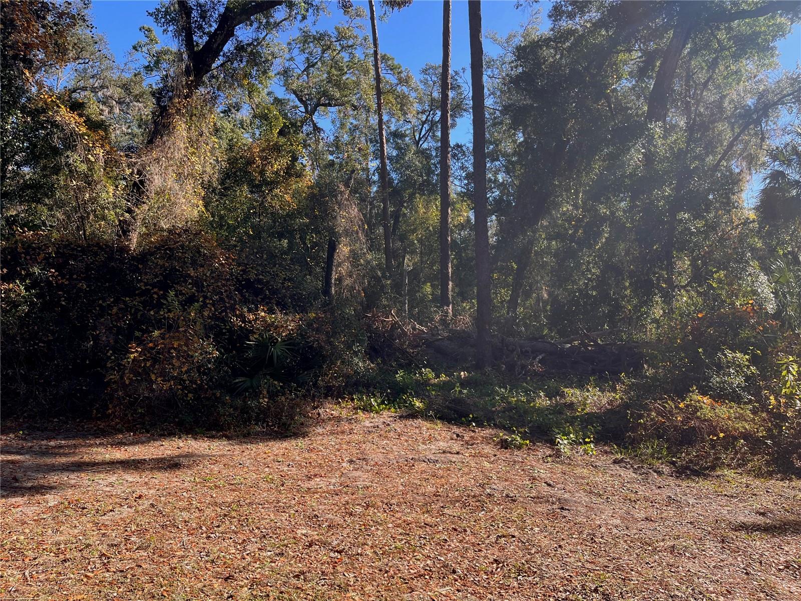 LAKE HOSPITALITY LN, ALTOONA, FL, 32702