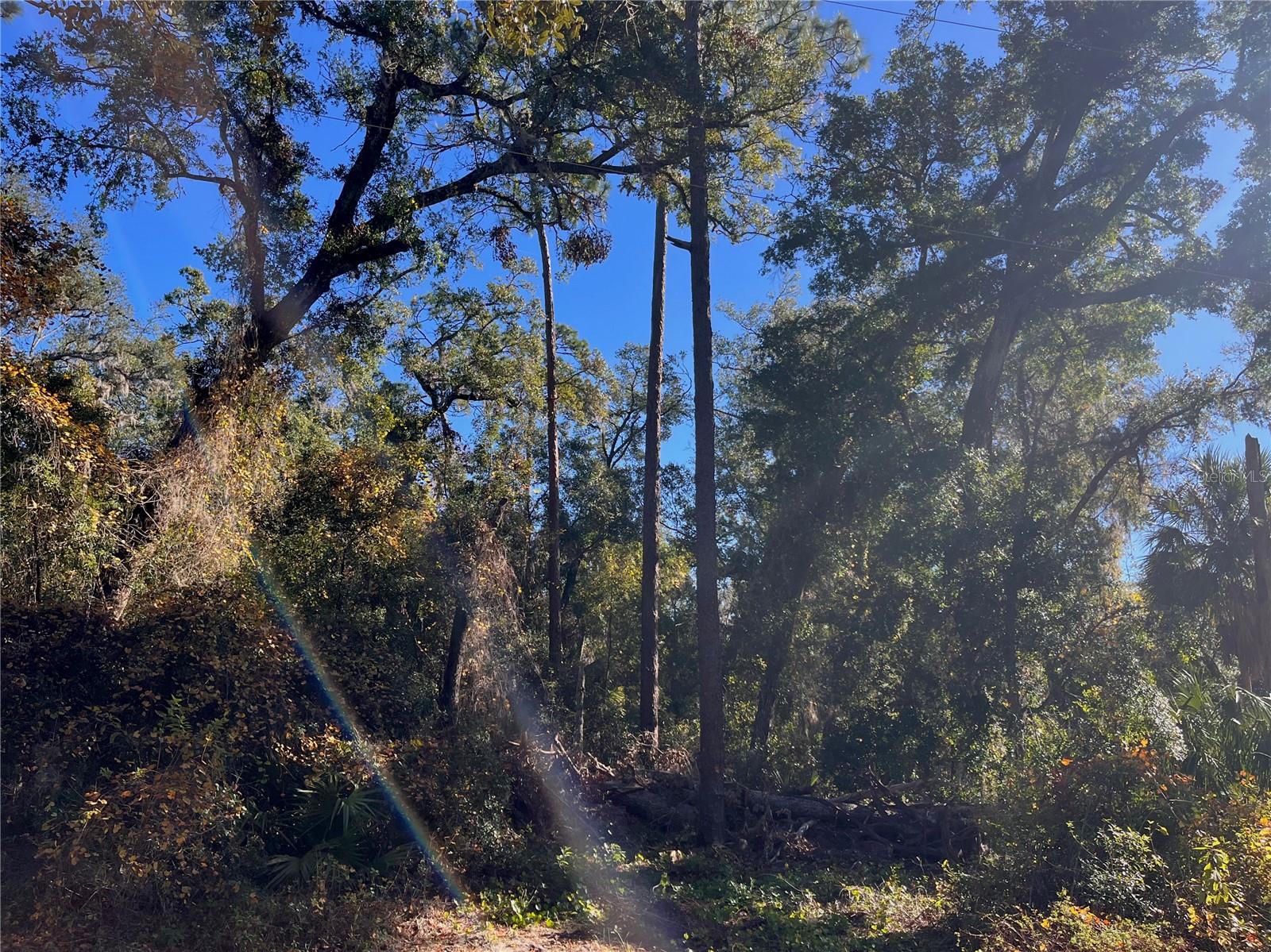 LAKE HOSPITALITY LN, ALTOONA, FL, 32702