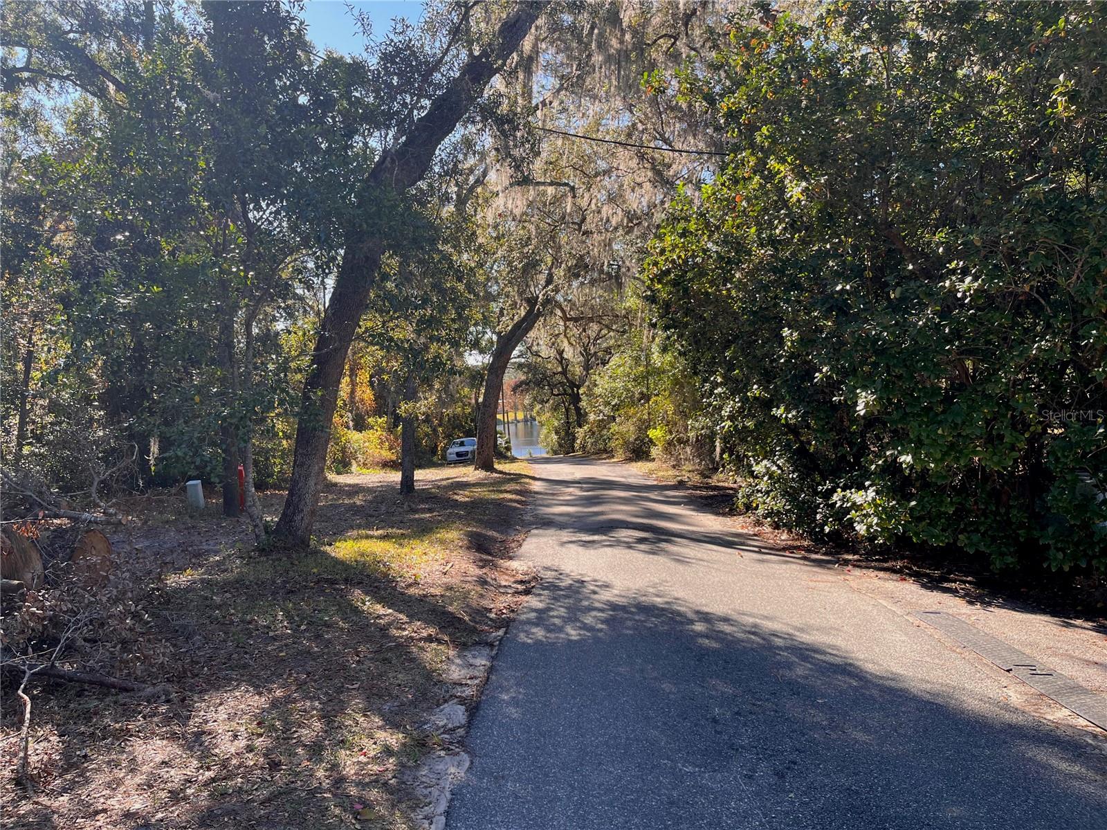 LAKE HOSPITALITY LN, ALTOONA, FL, 32702