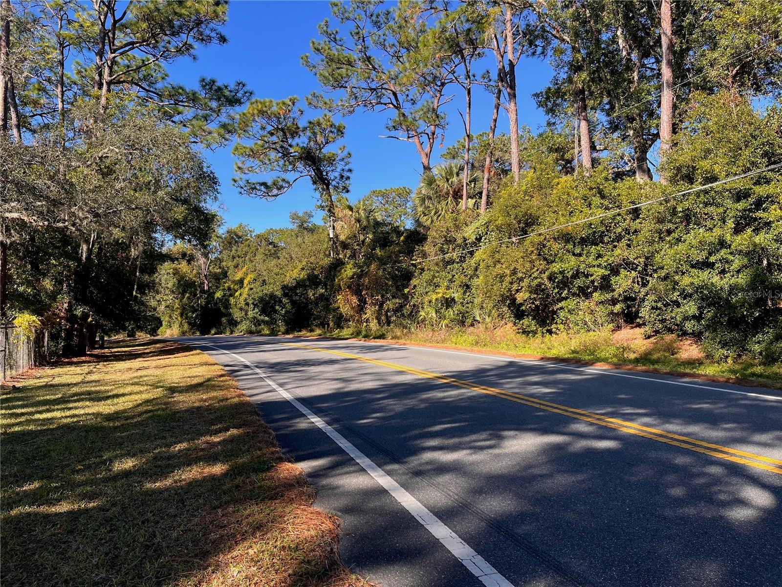 LAKE HOSPITALITY LN, ALTOONA, FL, 32702