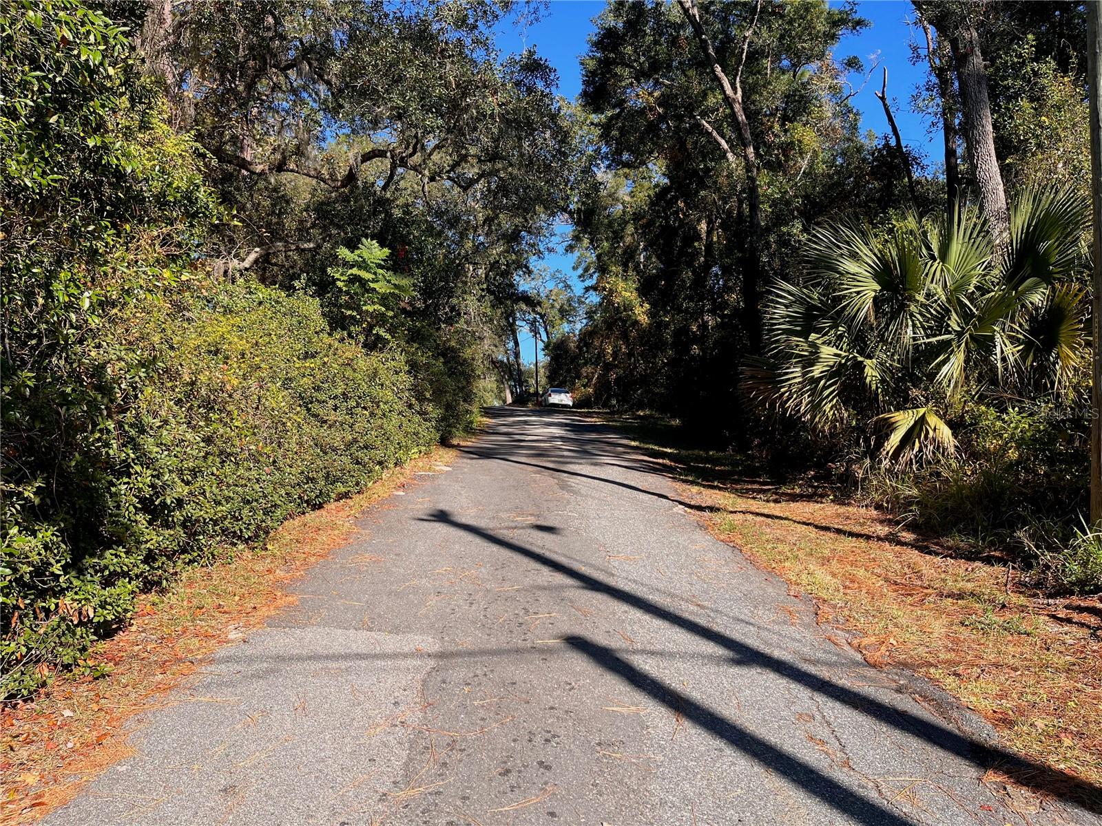 LAKE HOSPITALITY LN, ALTOONA, FL, 32702
