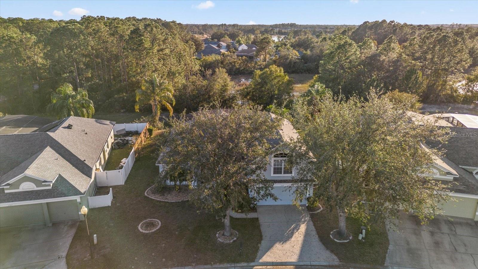 117 BLUE HERON CT, DAVENPORT, FL, 33837