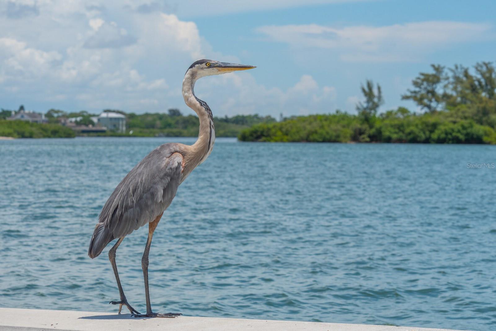 6727 ANCHOR WAY, SARASOTA, FL, 34231